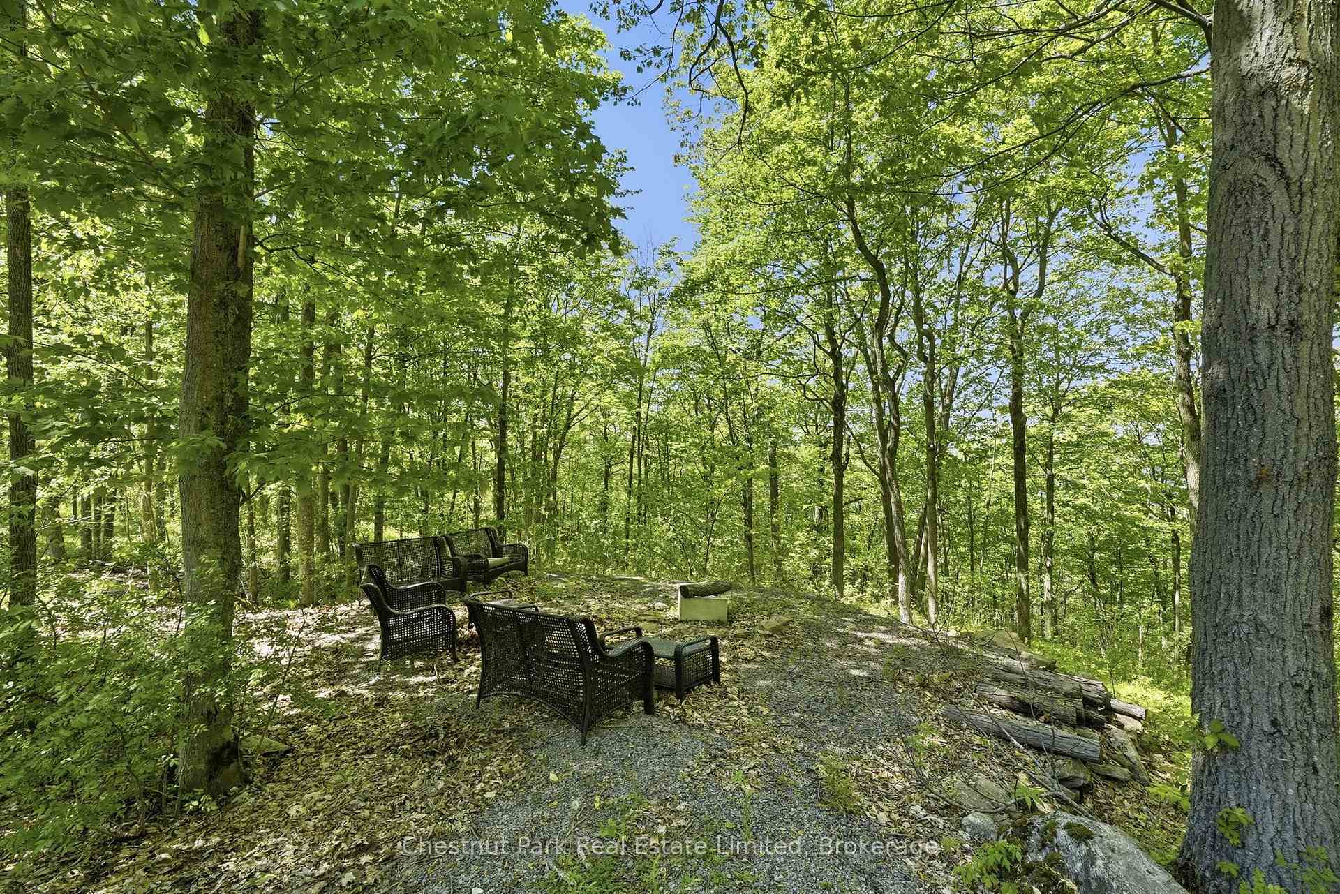 Land/Vacant Land's Image 5