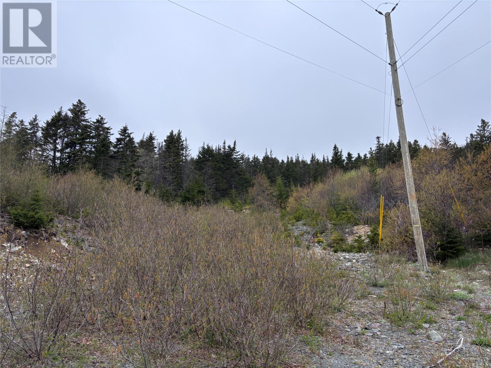 0 Whalefinn Drive Spaniards Bay Newfoundland And Labrador Canada Sale residential   BlueKey Realty Inc.