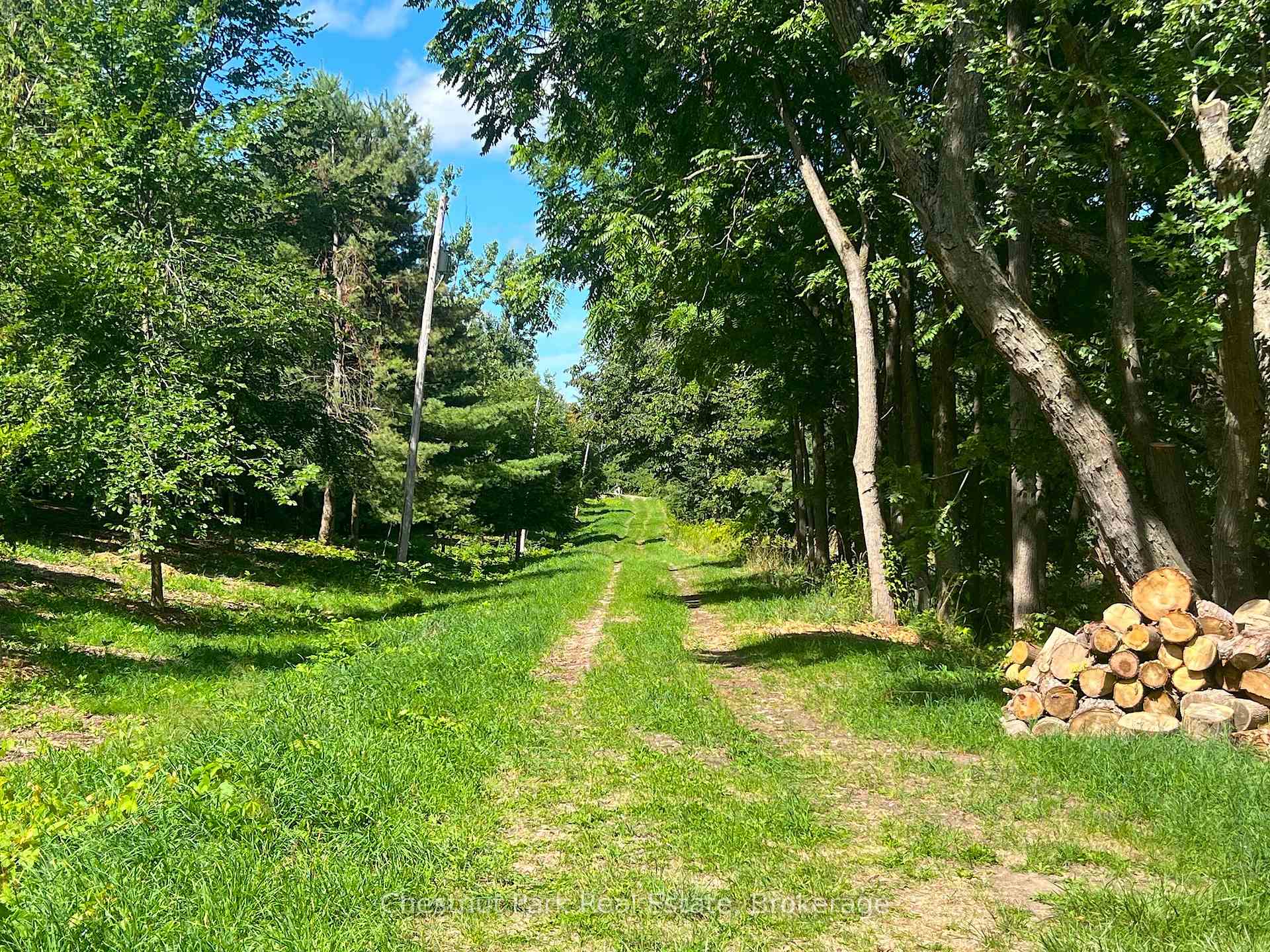 Land/Vacant Land's Image 6