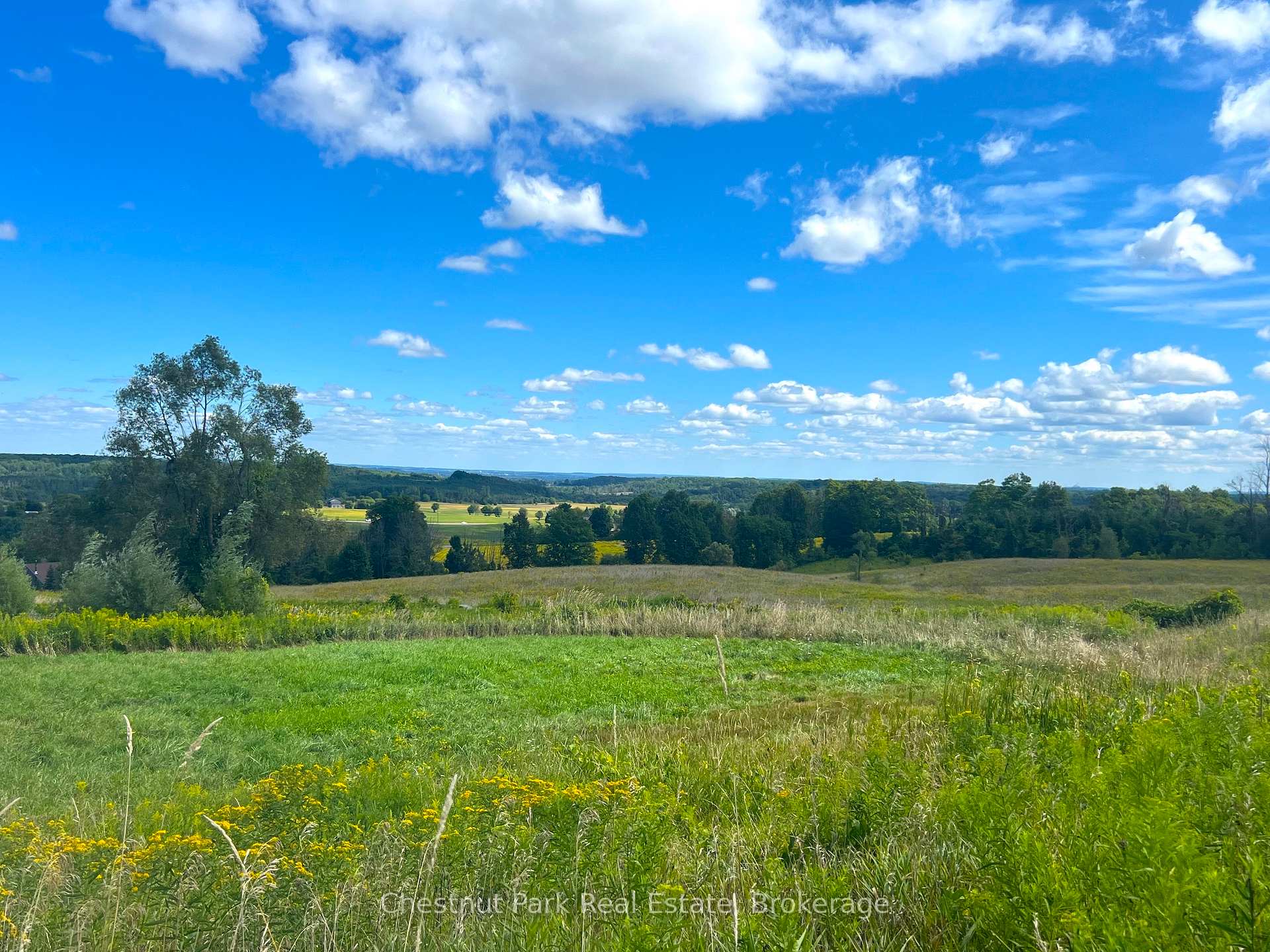 Land/Vacant Land's Image 5