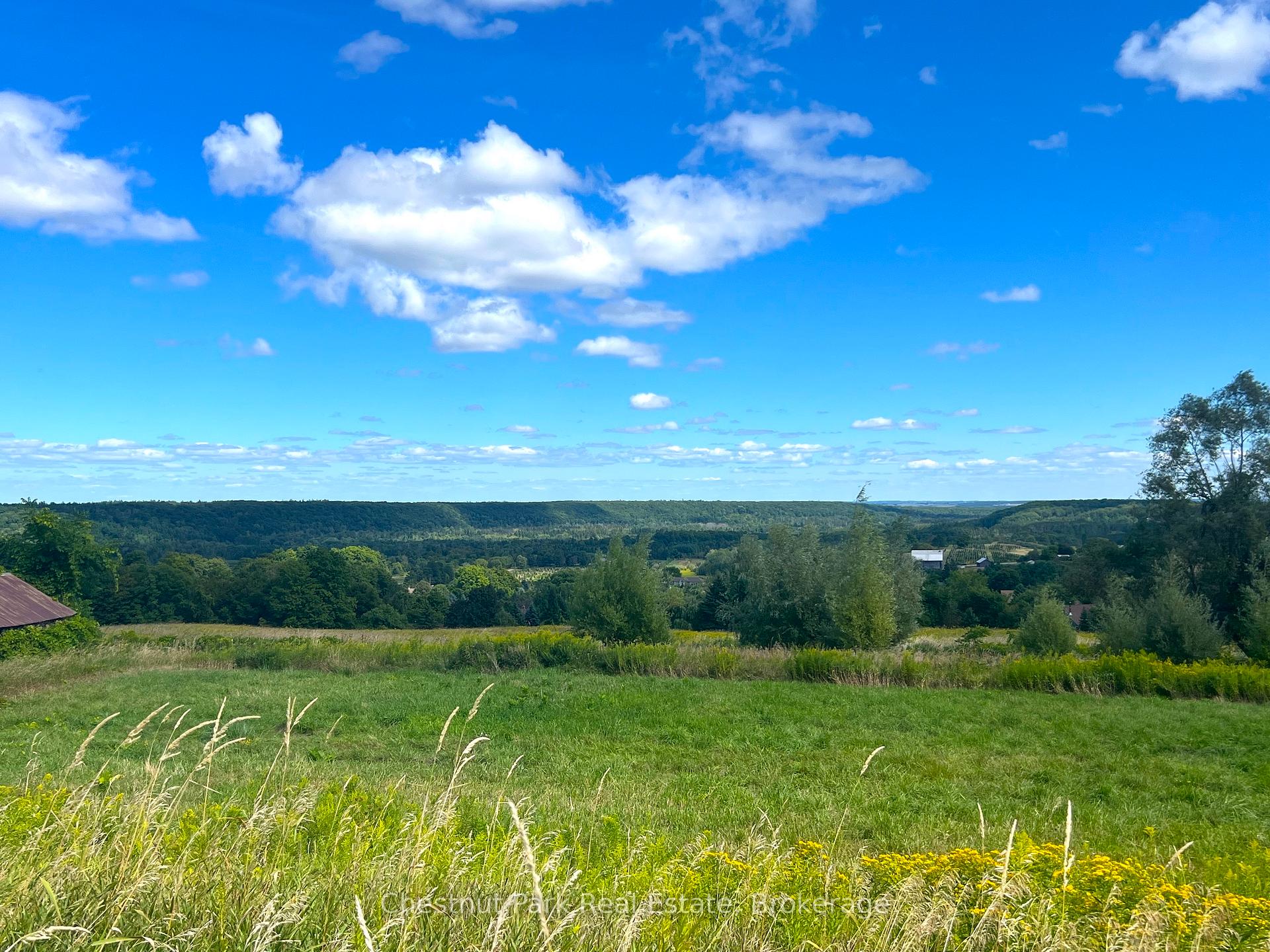 Land/Vacant Land's Image 4
