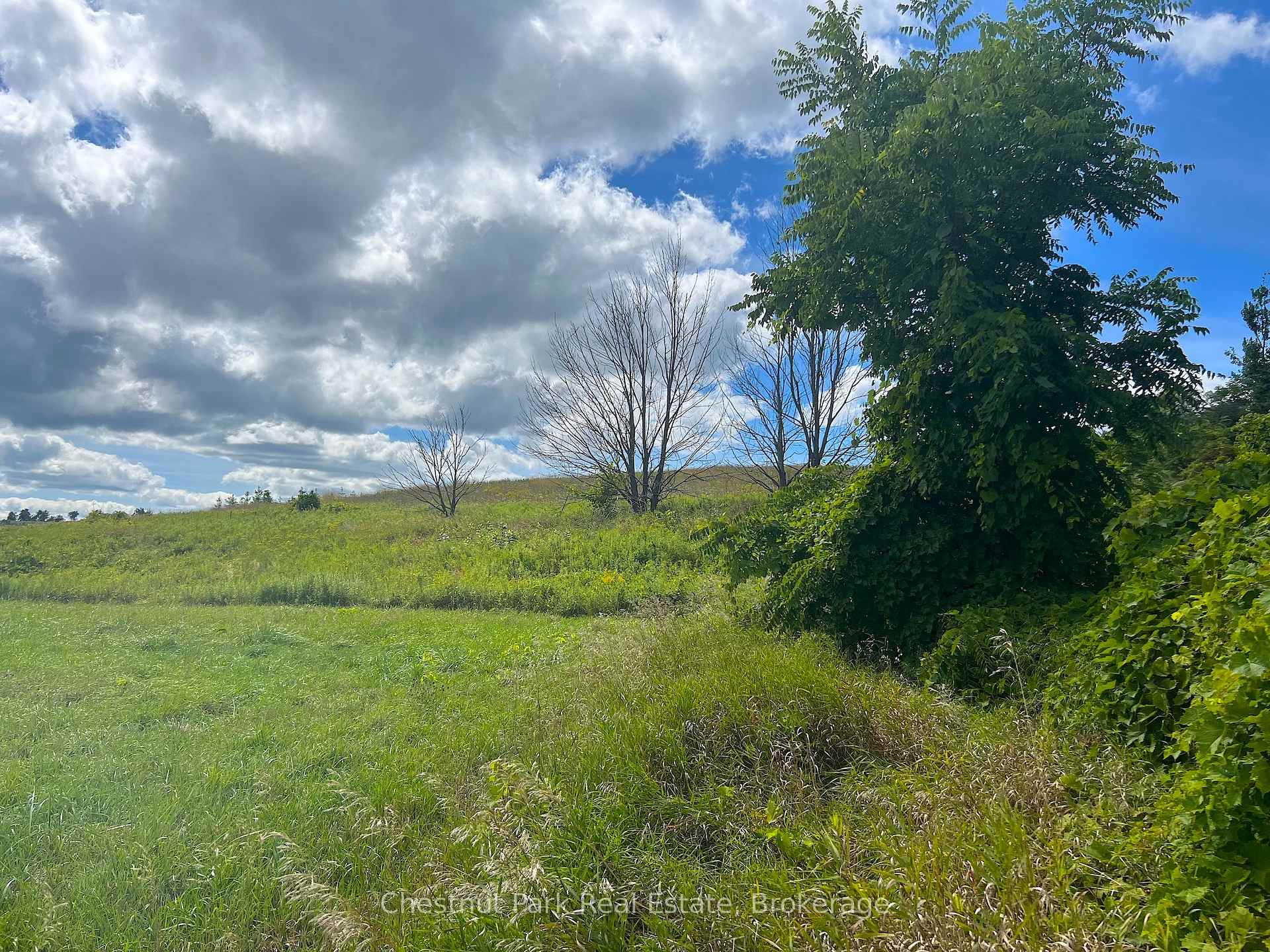 Land/Vacant Land's Image 3