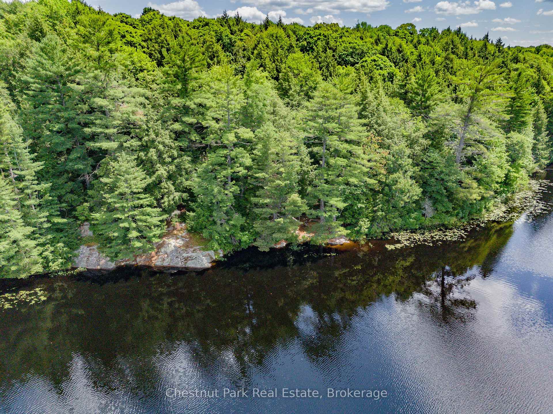Land/Vacant Land's Image 12