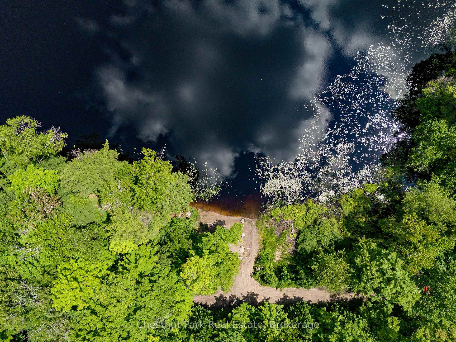 Land/Vacant Land's Image 11