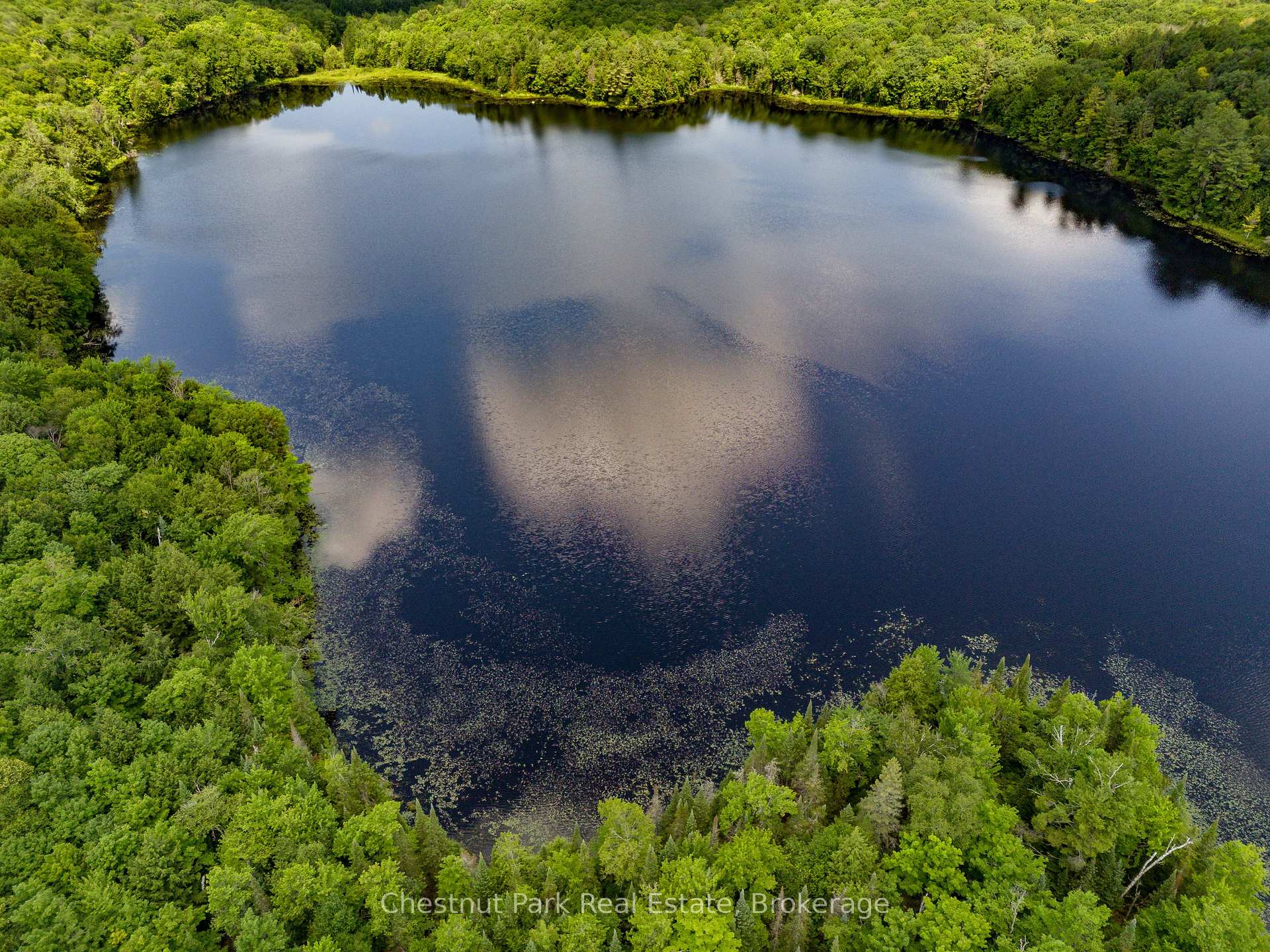 Land/Vacant Land's Image 8
