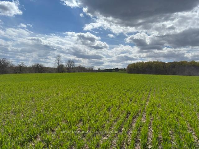 937054 Airport Road Mulmur Ontario Canada Sale commercial Vahid Jeihounian HomeLife/Cimerman Real Estate Ltd., Brokerage*