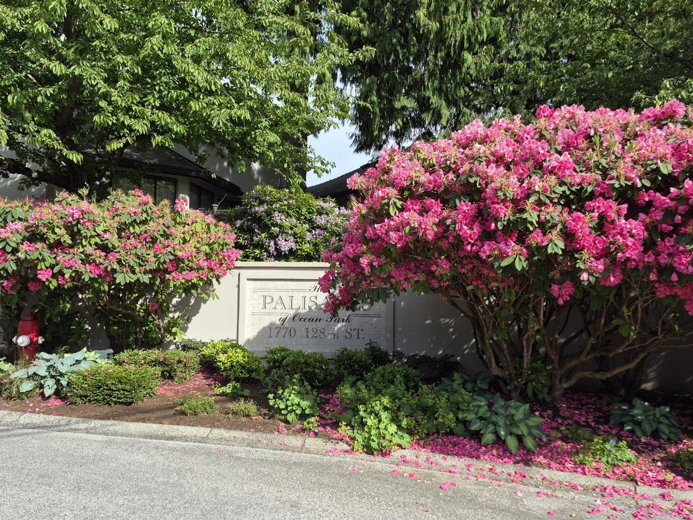 127 1770 128 STREET Surrey British Columbia Canada Sale residential Hirdejit Chahal HomeLife Benchmark Realty*