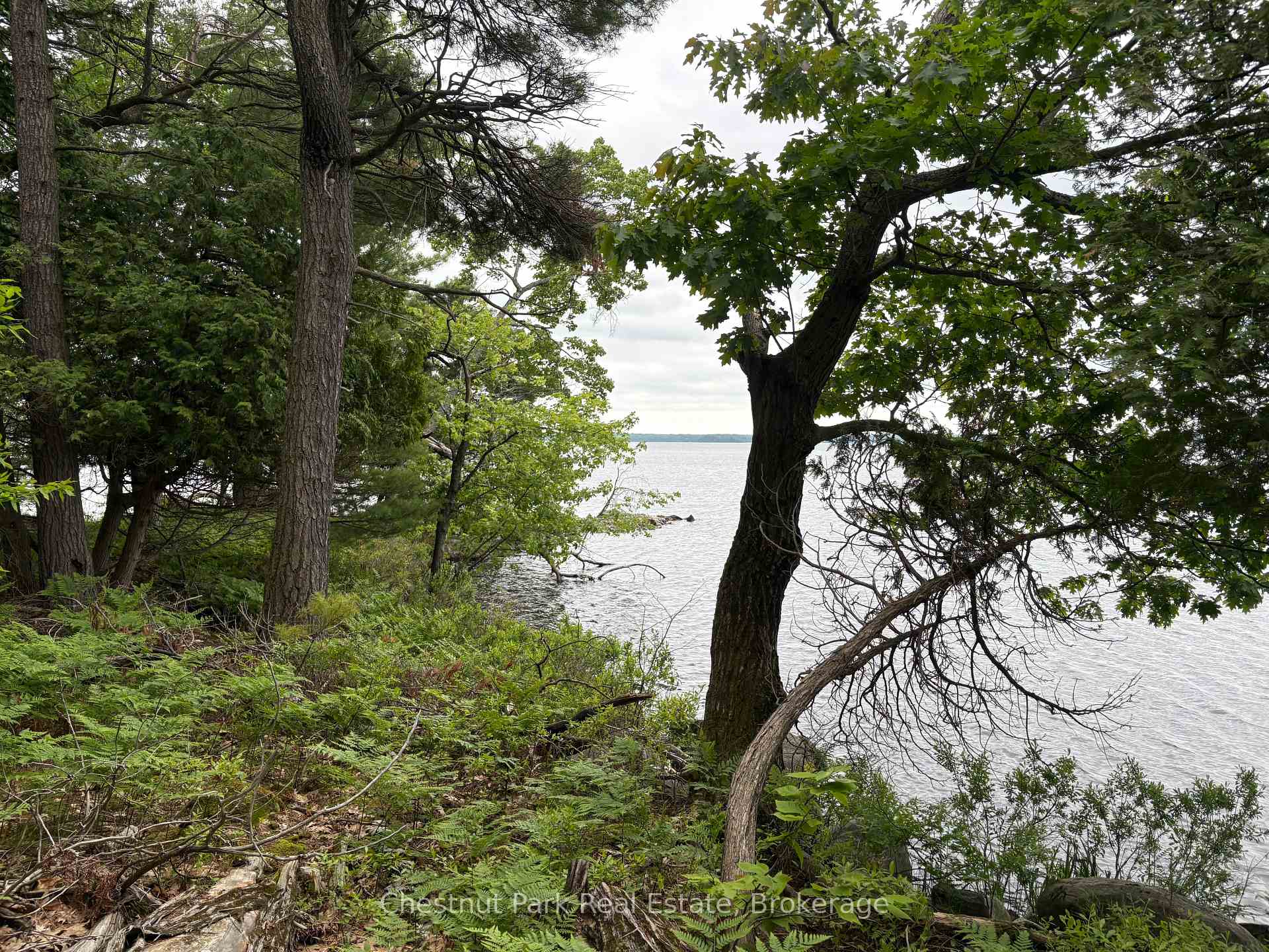 Land/Vacant Land's Image 4