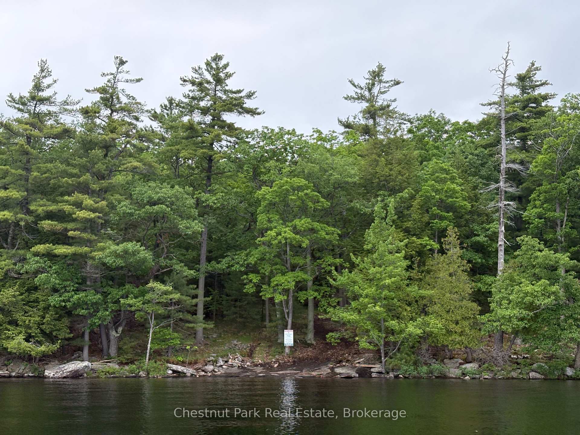Land/Vacant Land's Image 8