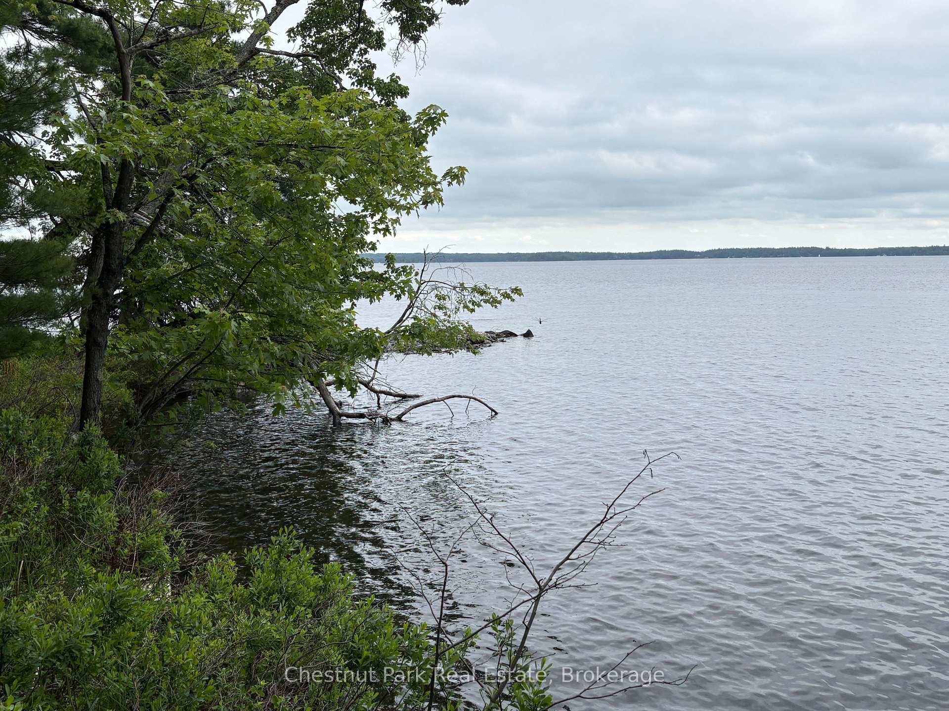 Land/Vacant Land's Image 6