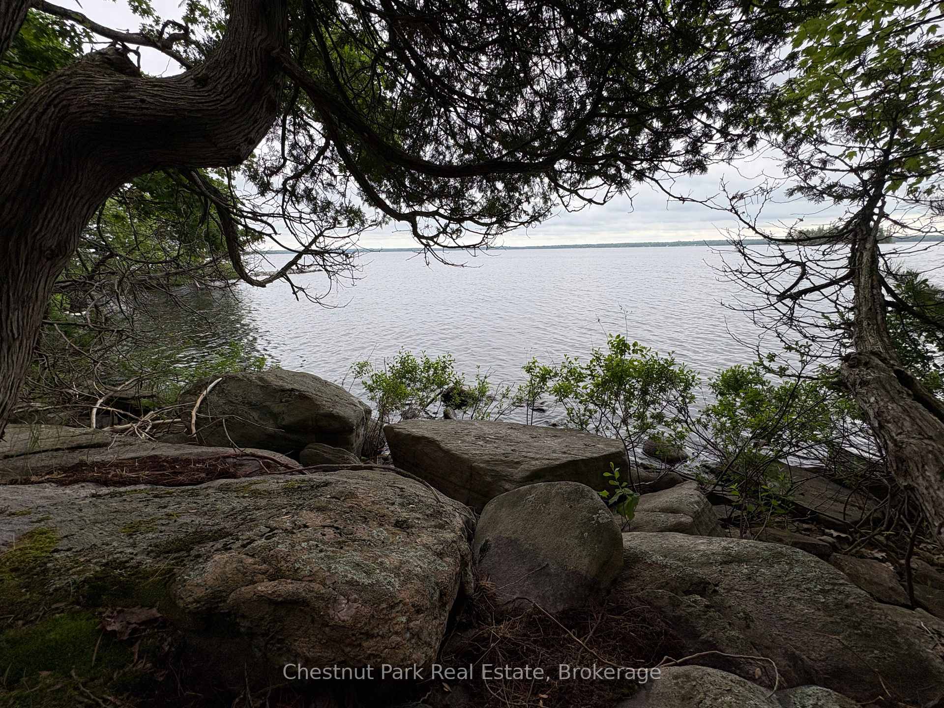 Land/Vacant Land's Image 5