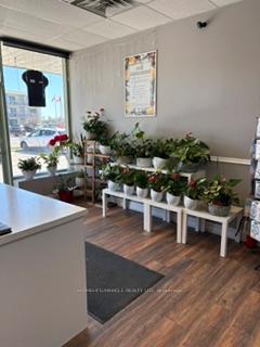 6 - 139 George Street N Peterborough Ontario Canada Sale commercial Jaswinder Meelu HomeLife/Miracle Realty Ltd, Brokerage *