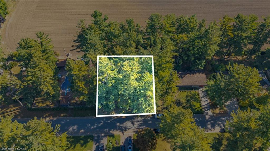 643 Gage Street Delhi Ontario Canada Sale residential   T.L. WILLAERT REALTY LTD. BROKERAGE*