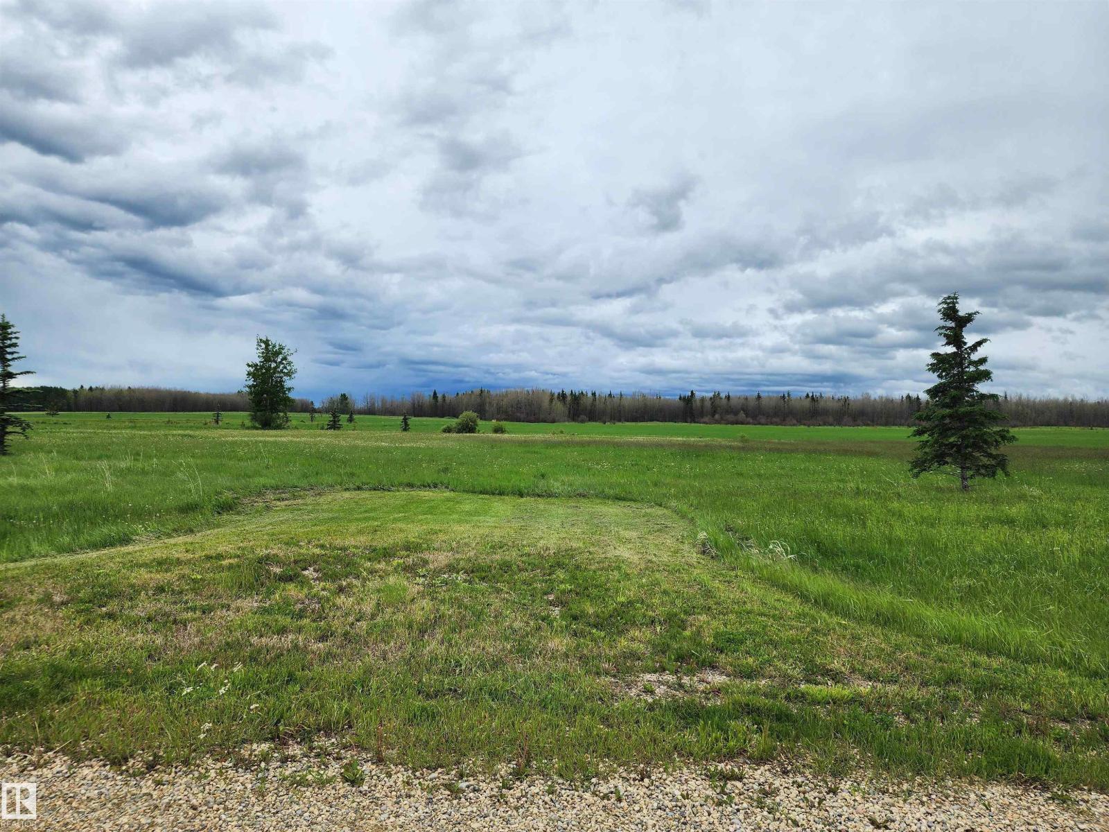 29 465011 Rge Rd 64 Rural Wetaskiwin County Alberta Canada Sale commercial Darlene Reid MORE Real Estate, Brokerage*