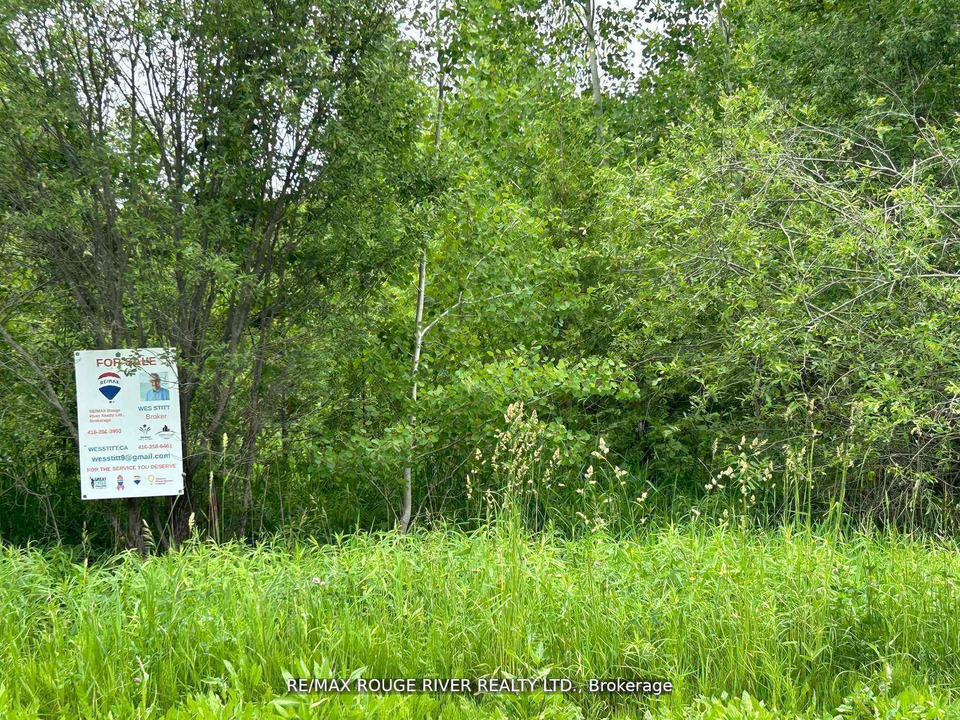 Con 8 PTLot7RdPl74Pt44-49 Trent Hills Ontario Canada Sale residential Lee Keeso RE/MAX Rouge River Realty Ltd., Brokerage *