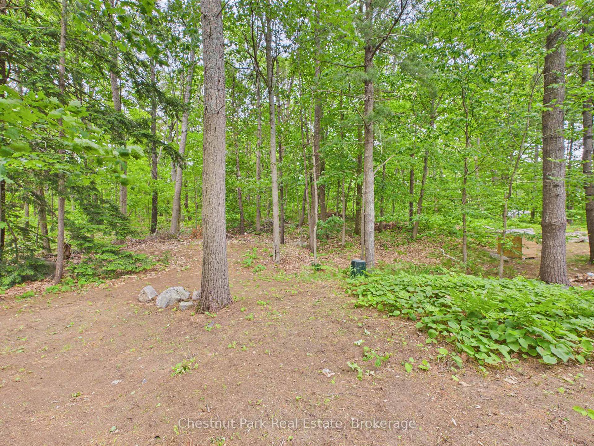 3 Bedroom Single Family Home/House's Image 35