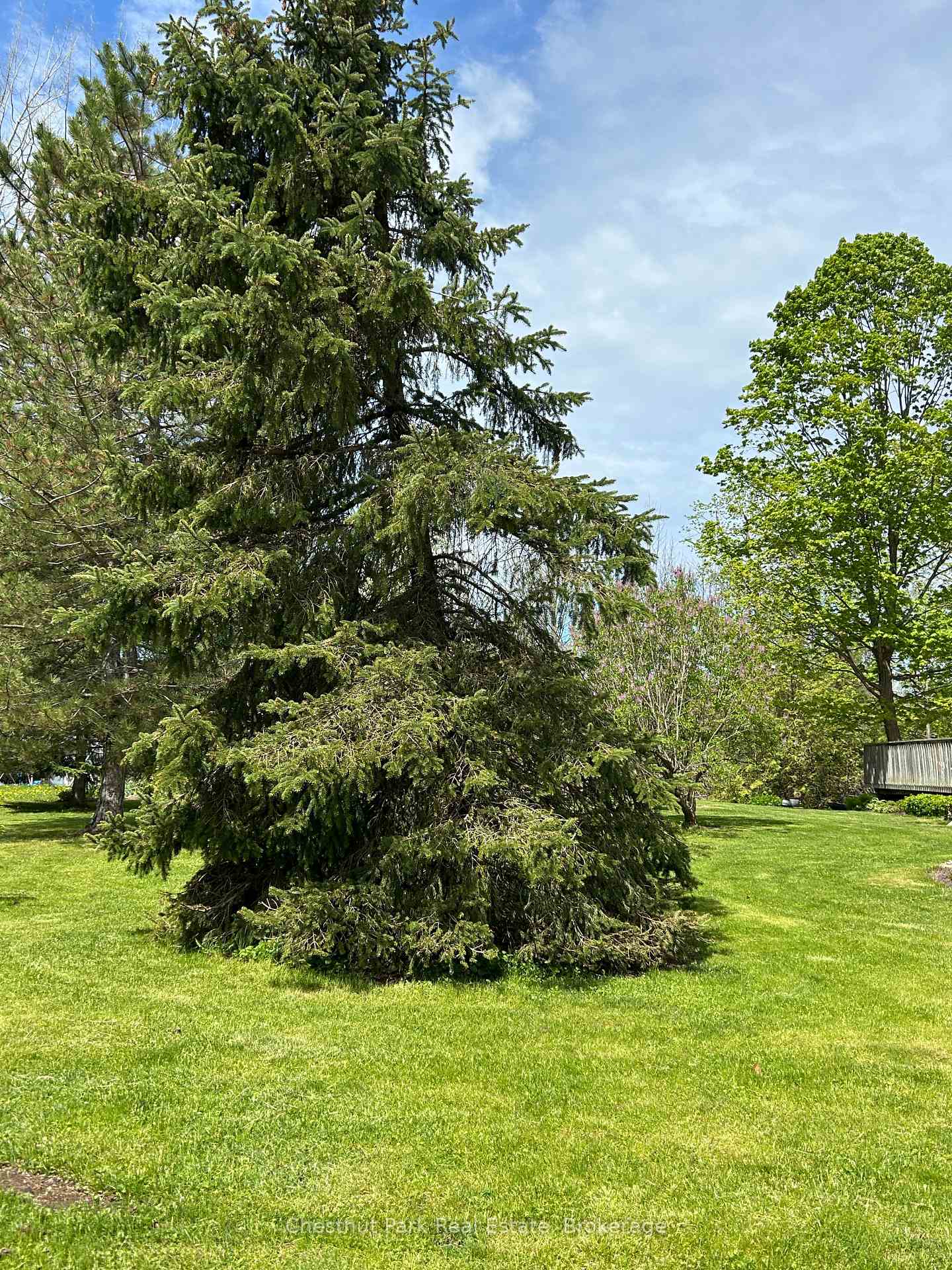 13 Pollard Drive Meaford Ontario Canada Sale residential   Georgian Bay Group | Chestnut Park Real Estate Ltd. Brokerage