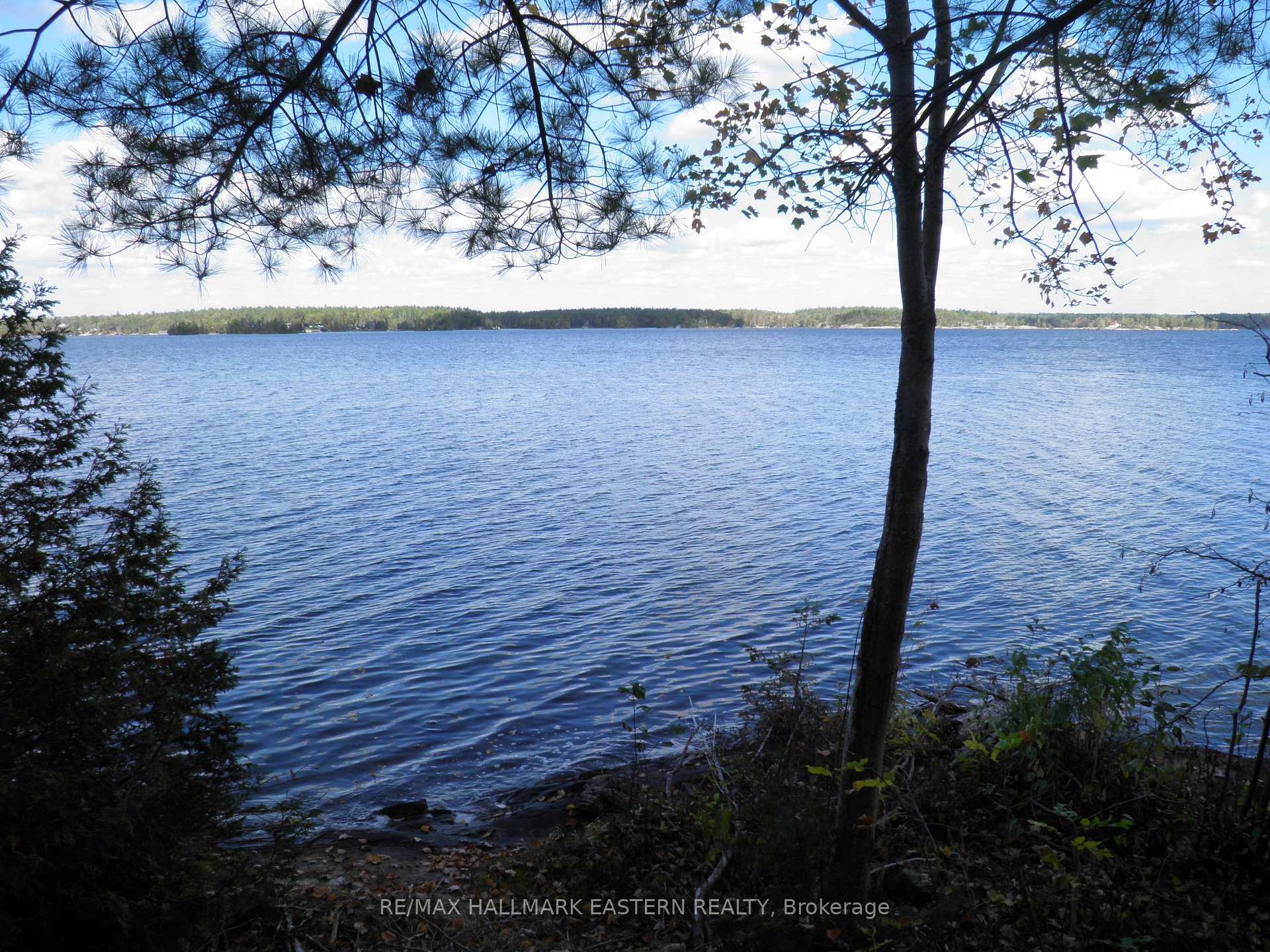 1420 Island 76 Stoney Lake North Kawartha Ontario Canada Sale residential Frank Rosso RE/MAX HALLMARK EASTERN REALTY, BROKERAGE*