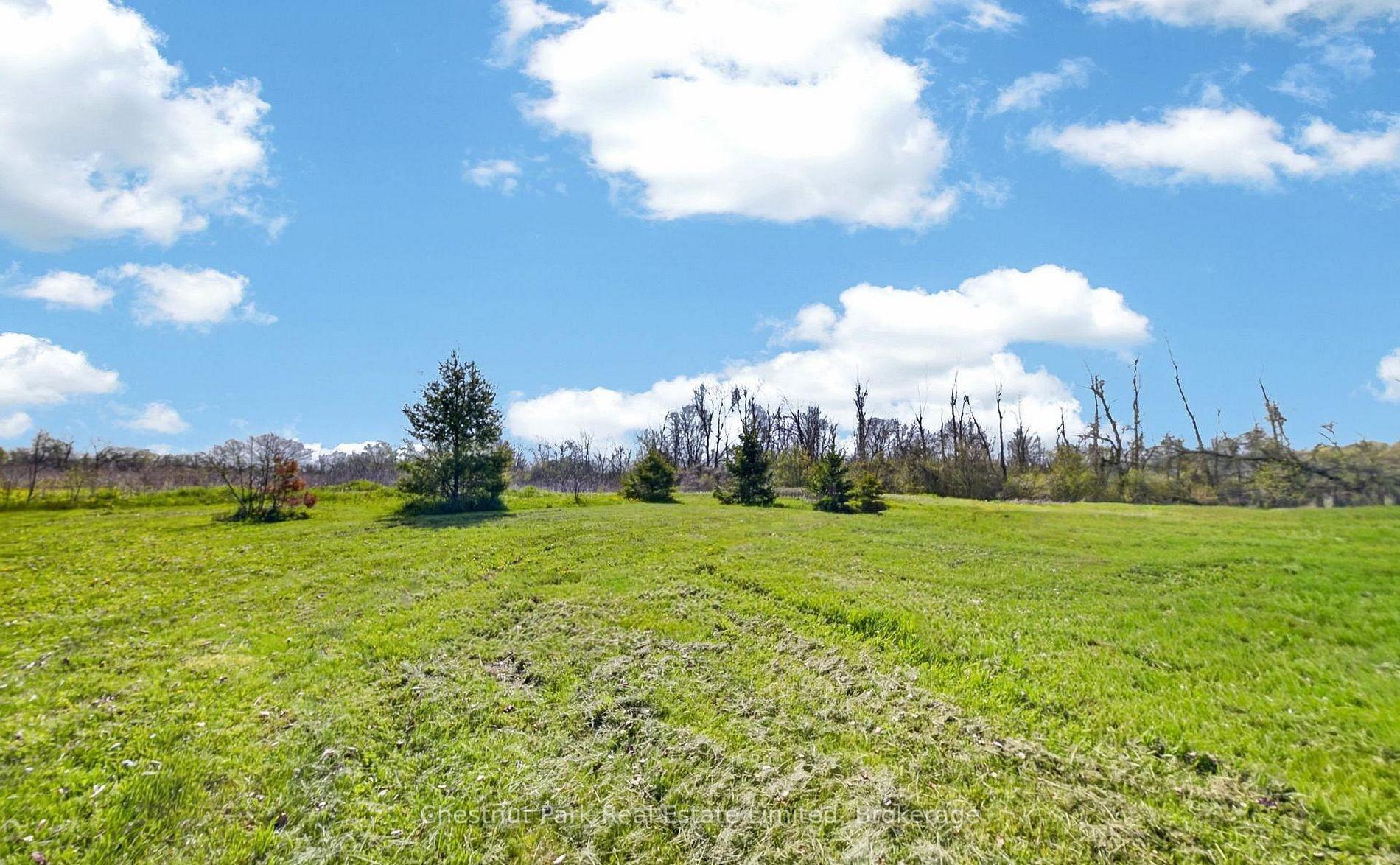 Land/Vacant Land's Image 6