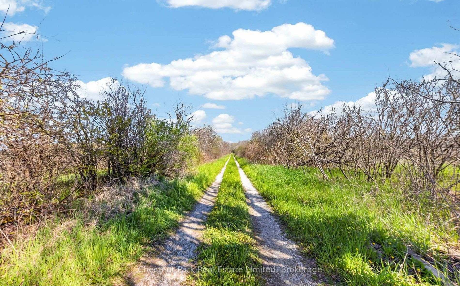 Land/Vacant Land's Image 7