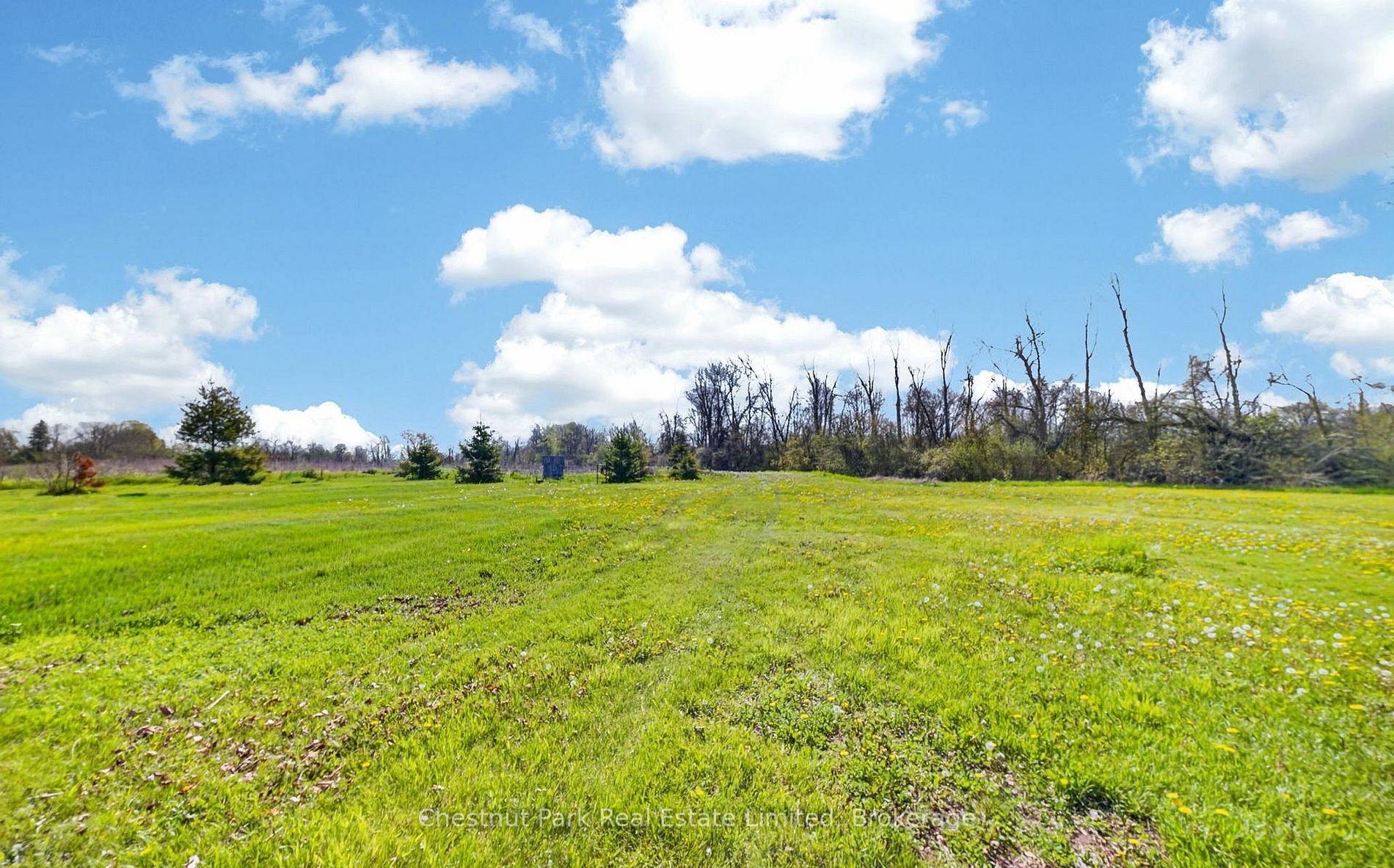 Land/Vacant Land's Image 5