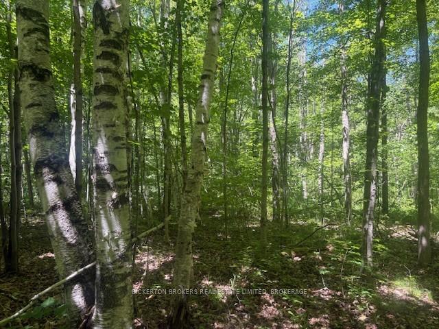 49 Cedar Sands Road Rideau Lakes Ontario Canada Sale residential   Bickerton Brokers Limited, Brokerage *