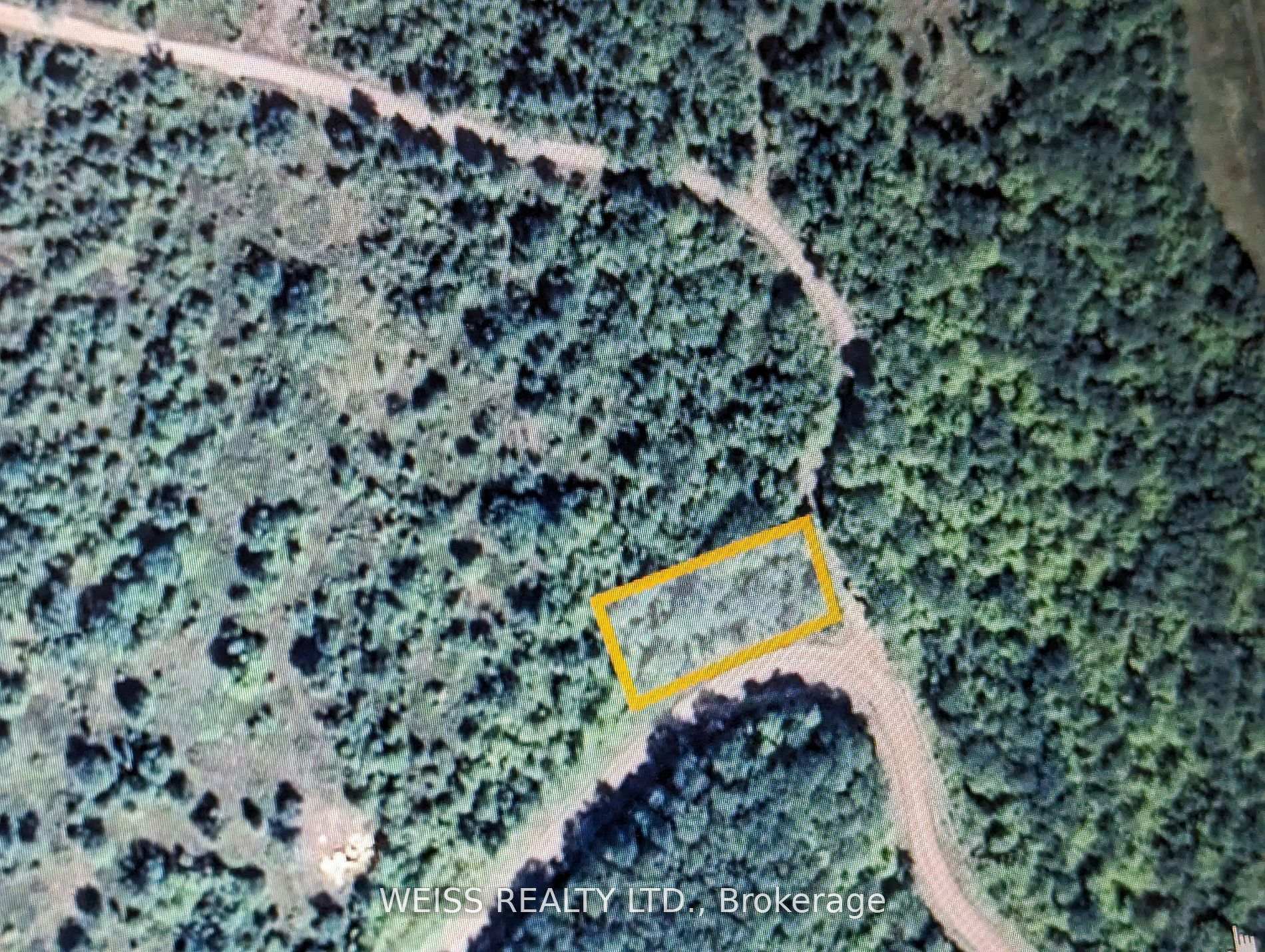 01 HWY 47 Havelock-Belmont-Methuen Ontario Canada Sale residential   WEISS REALTY LTD., Brokerage