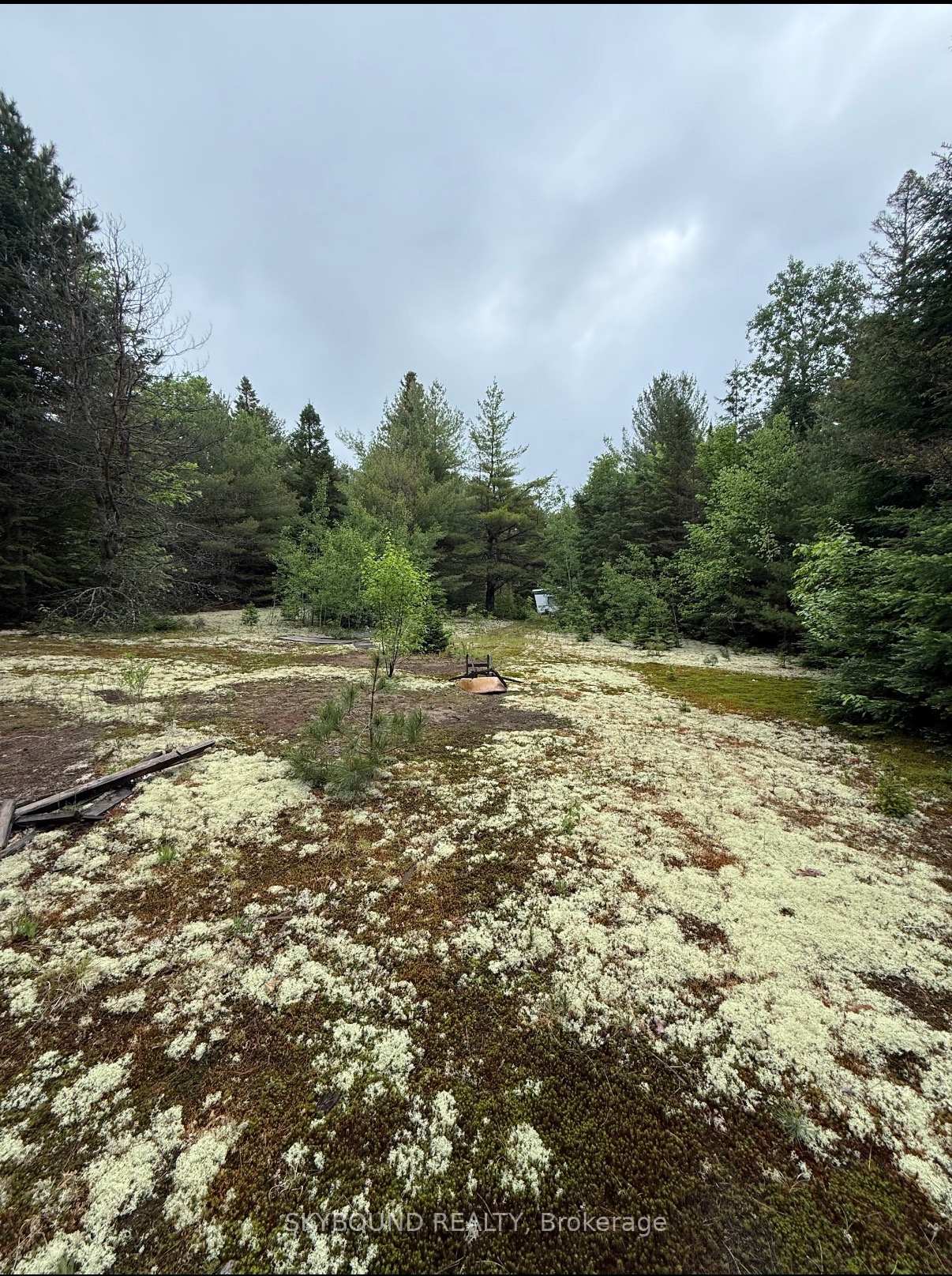 92 McAlpine Road Hastings Highlands Ontario Canada Sale residential Navien Goel Skybound Realty, Brokerage