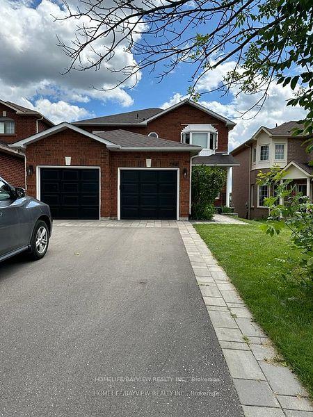 Lower - 798 Hilton Boulevard Newmarket Ontario Canada Rent residential   HomeLife/Bayview Realty Inc., Brokerage*