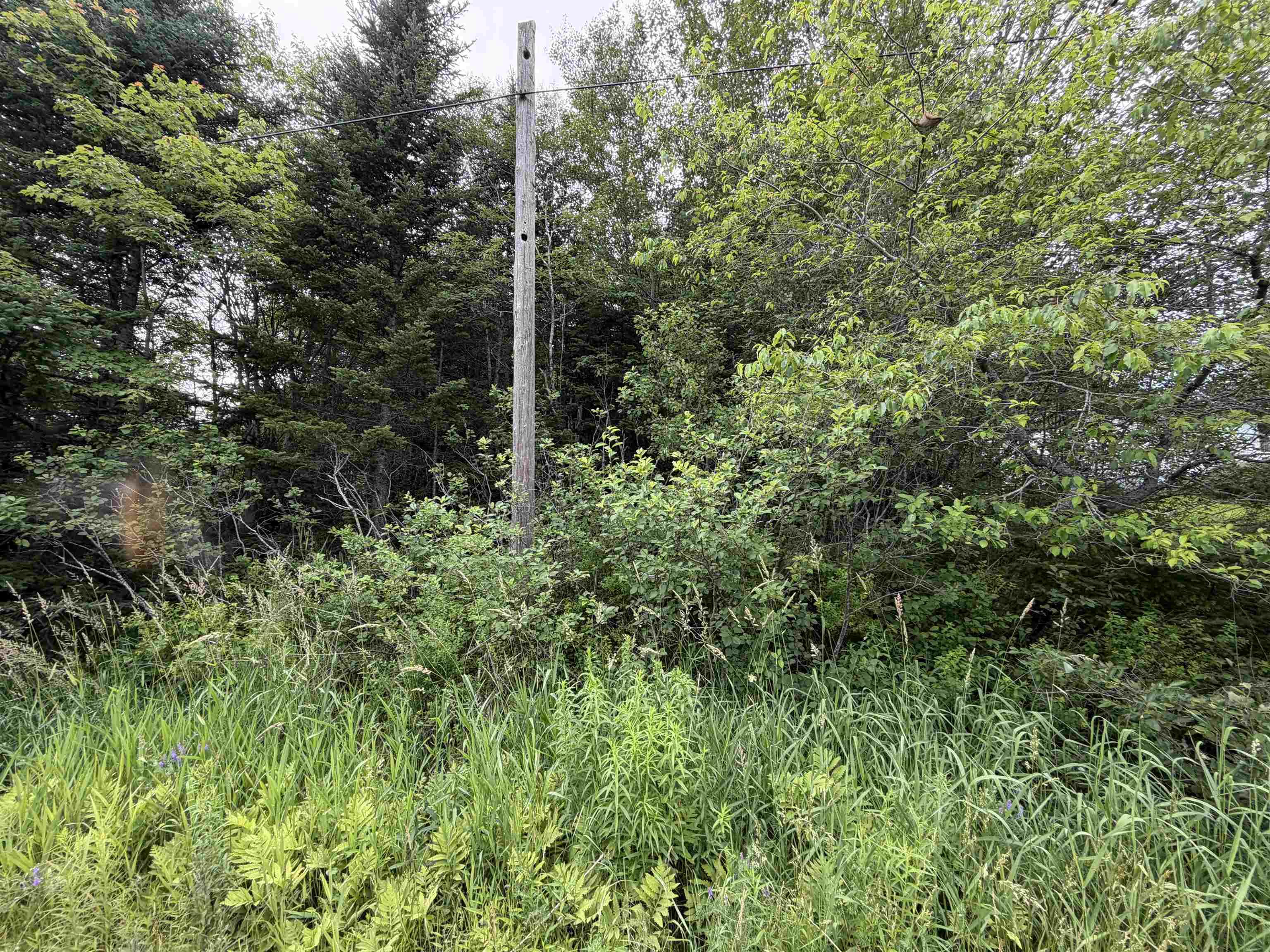 Lot 14 Highway 2  Alton Nova Scotia Canada Sale residential    Hants Realty Limited