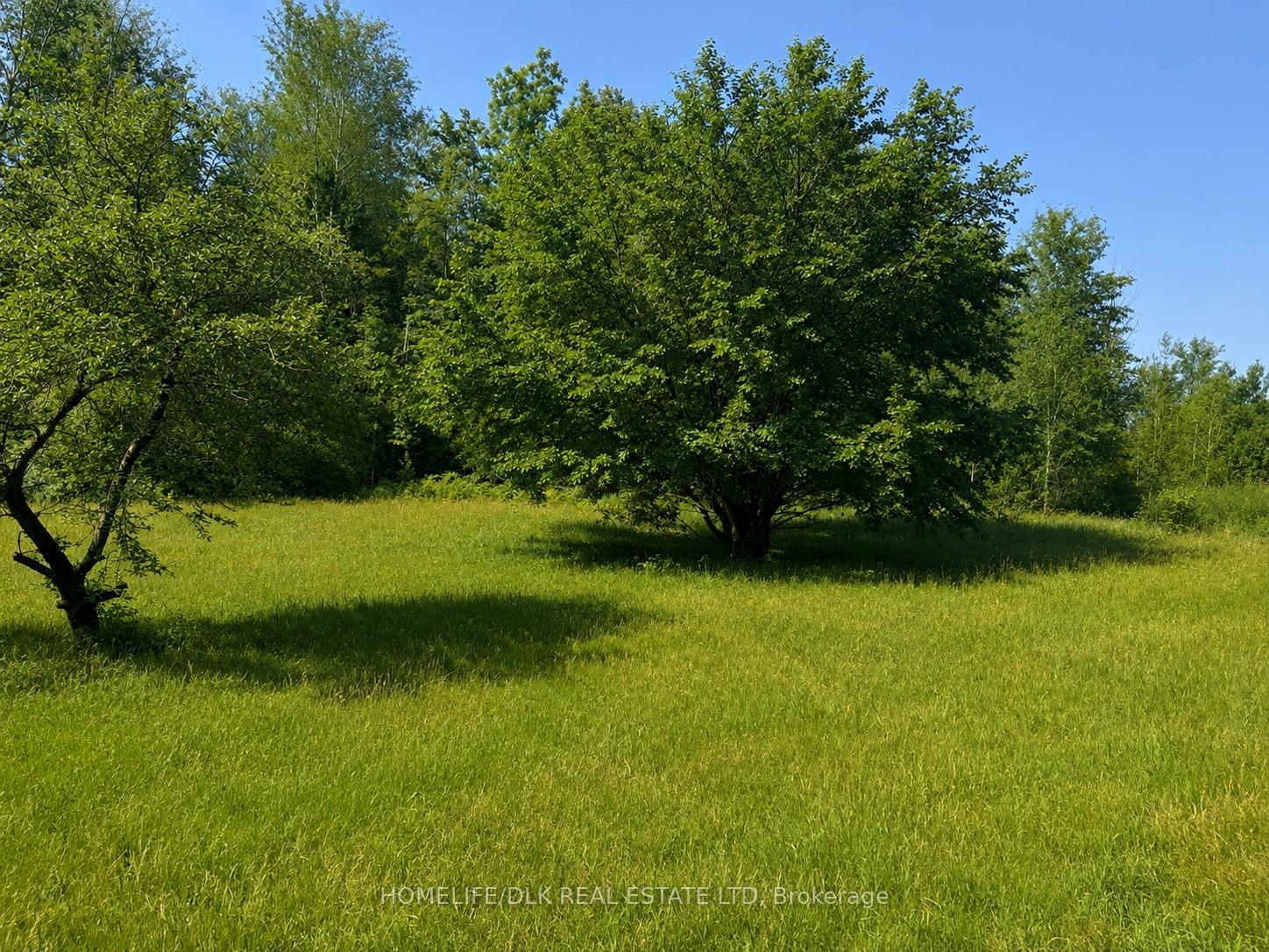 8300 Klitbo Road Augusta Ontario Canada Sale residential Ryann Bailey HomeLife/DLK Real Estate Ltd., Brokerage*