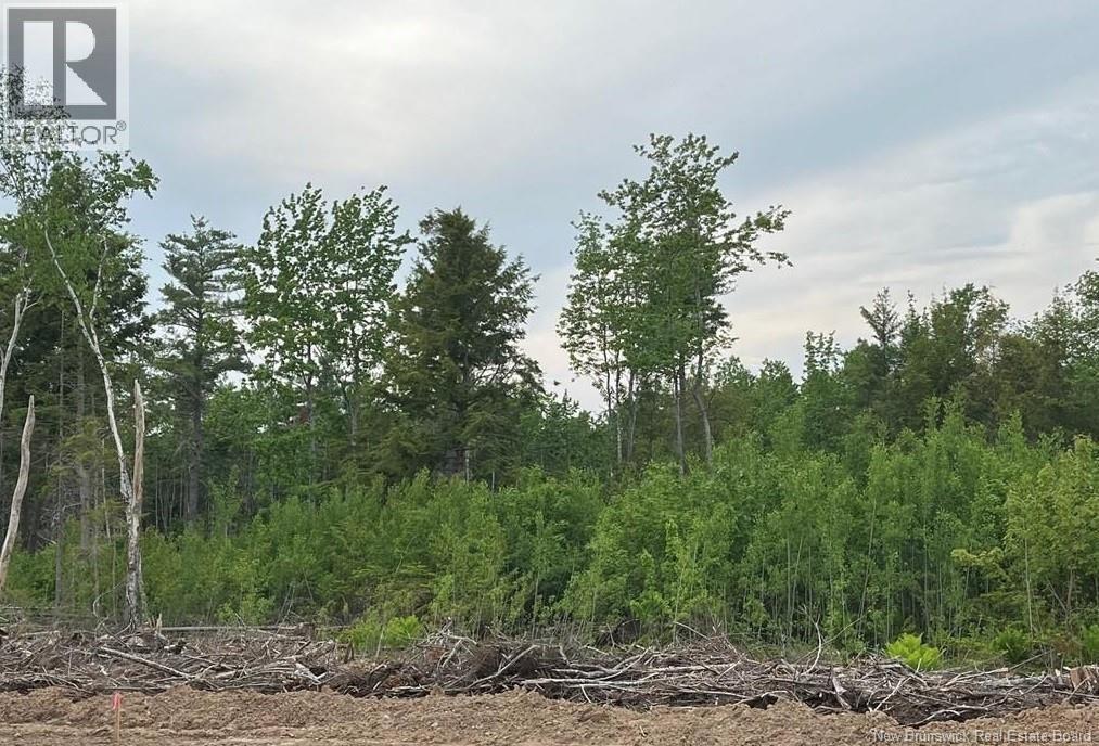 24-02 Chultun Court Lower Coverdale New Brunswick Canada Sale residential Nancy Macpherson RE/MAX AVANTE