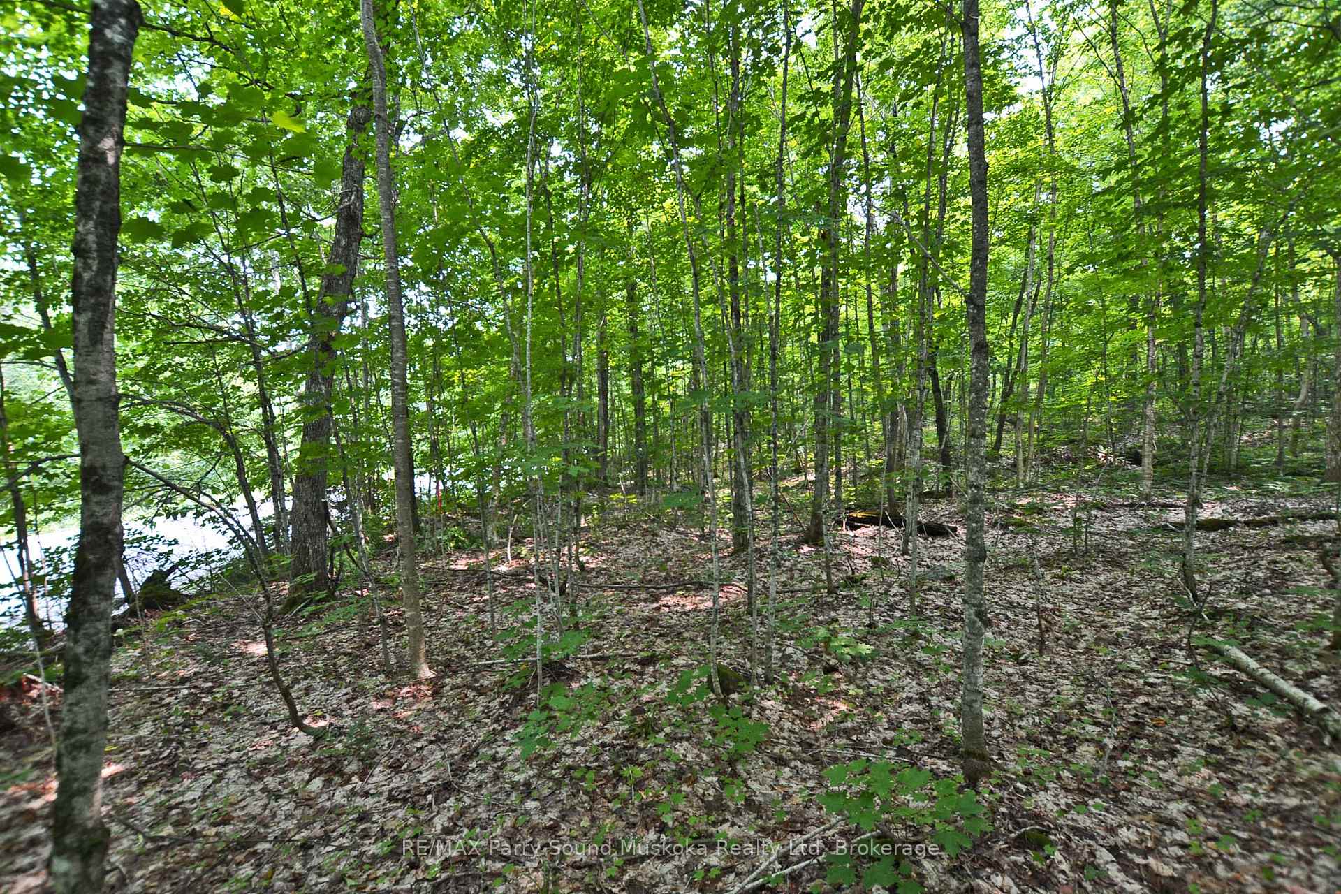 Part 1 - 0 Lyndsey Lane Mckellar Ontario Canada Sale residential Gary Phillips RE/MAX PARRY SOUND MUSKOKA REALTY LTD., BROKERAGE*