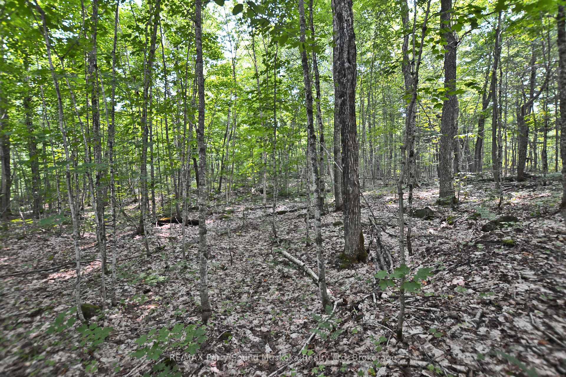 Part 2 - 0 Lyndsey Lane Mckellar Ontario Canada Sale residential Gary Phillips RE/MAX PARRY SOUND MUSKOKA REALTY LTD., BROKERAGE*