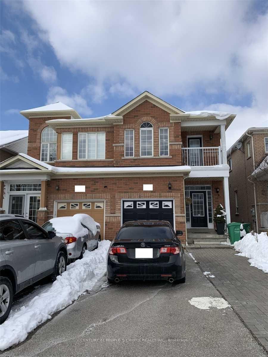 (Basmt) - 40 Palm Tree Road Brampton Ontario Canada Rent residential   HomeLife 247 Realty Inc.,  Brokerage*