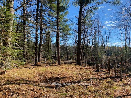 17556 Highway 62 Madoc Ontario Canada Sale residential Joanne Leigh Royal Heritage Realty Ltd., Brokerage*