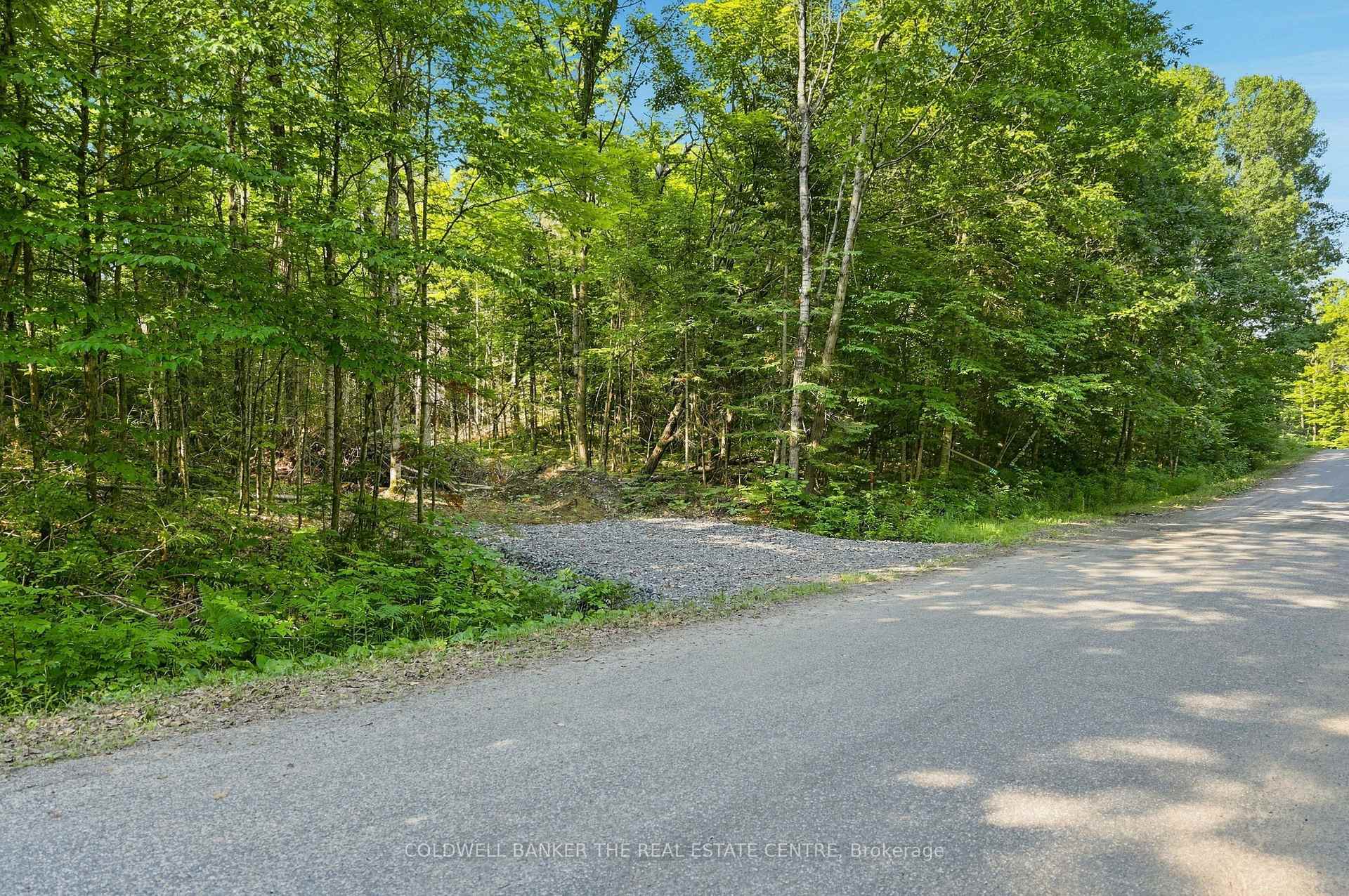260 Loch Erne Road Mcdougall Ontario Canada Sale residential Natalie Cerullo Coldwell Banker The Real Estate Centre, Brokerage*