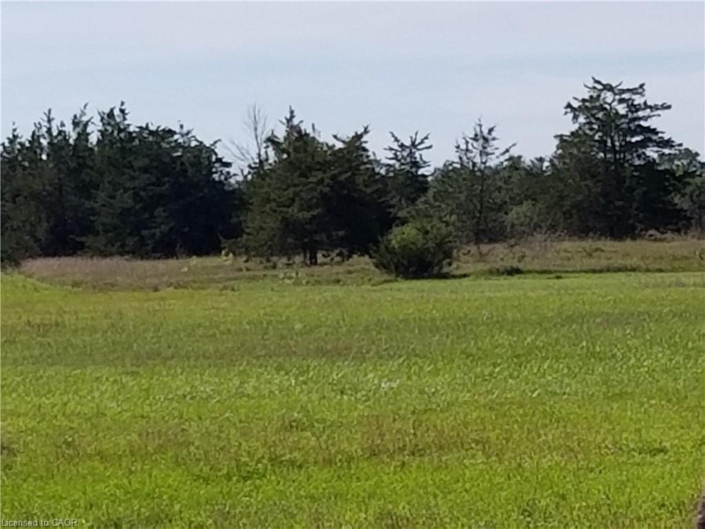 120 Drive In Road W Napanee Ontario Canada Sale residential Shannon McCaffrey McCaffrey Realty Inc., Brokerage