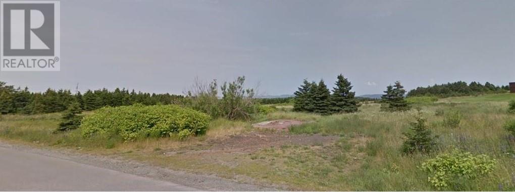 119 - 121 Steve Neary Boulevard Bell Island Newfoundland And Labrador Canada Sale residential   HomeLife Experts Realty Inc. *