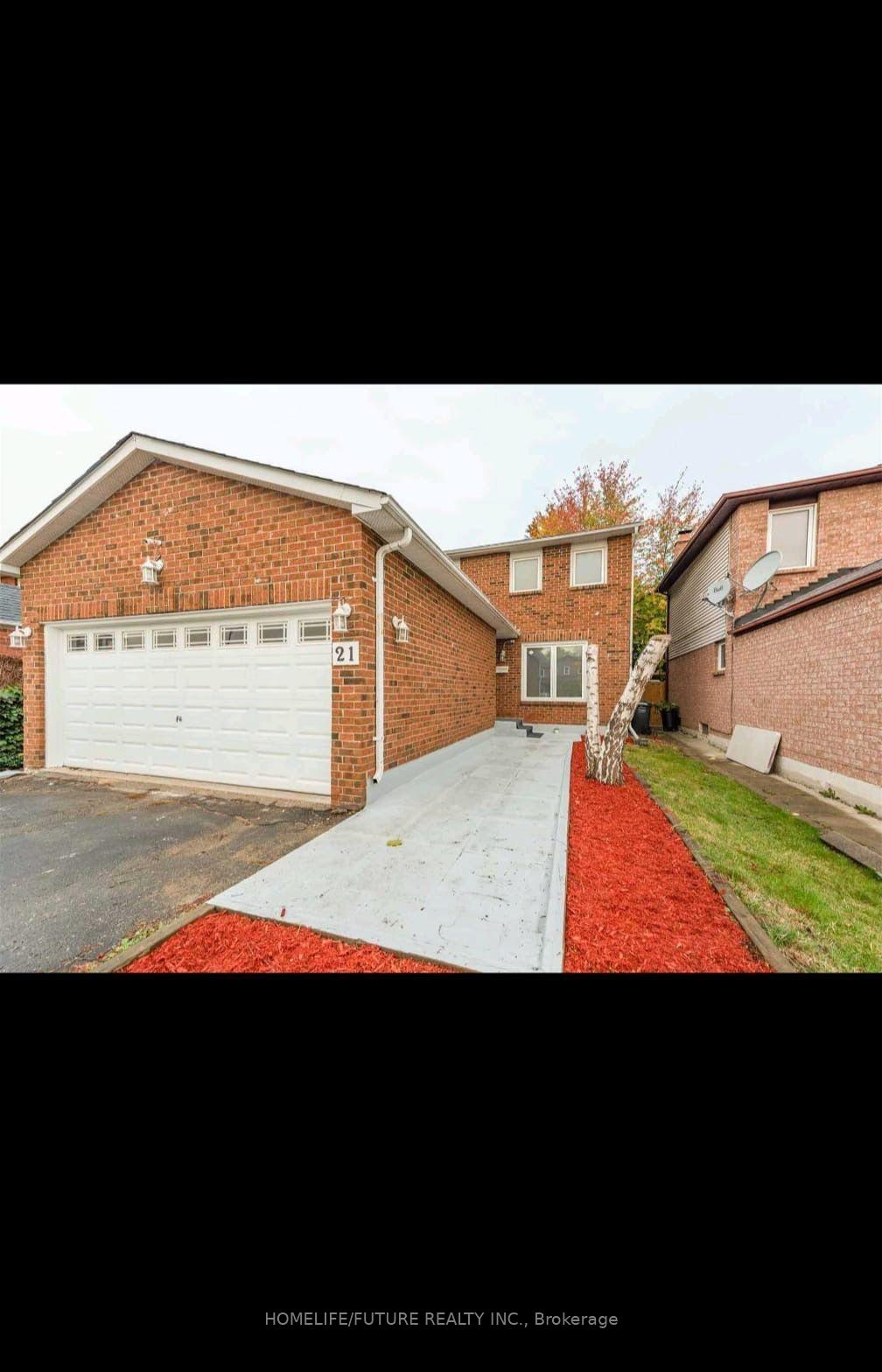 Bsmt - 21 Floribunda Crescent Brampton Ontario Canada Rent residential   HomeLife/Future Realty Inc., Brokerage*
