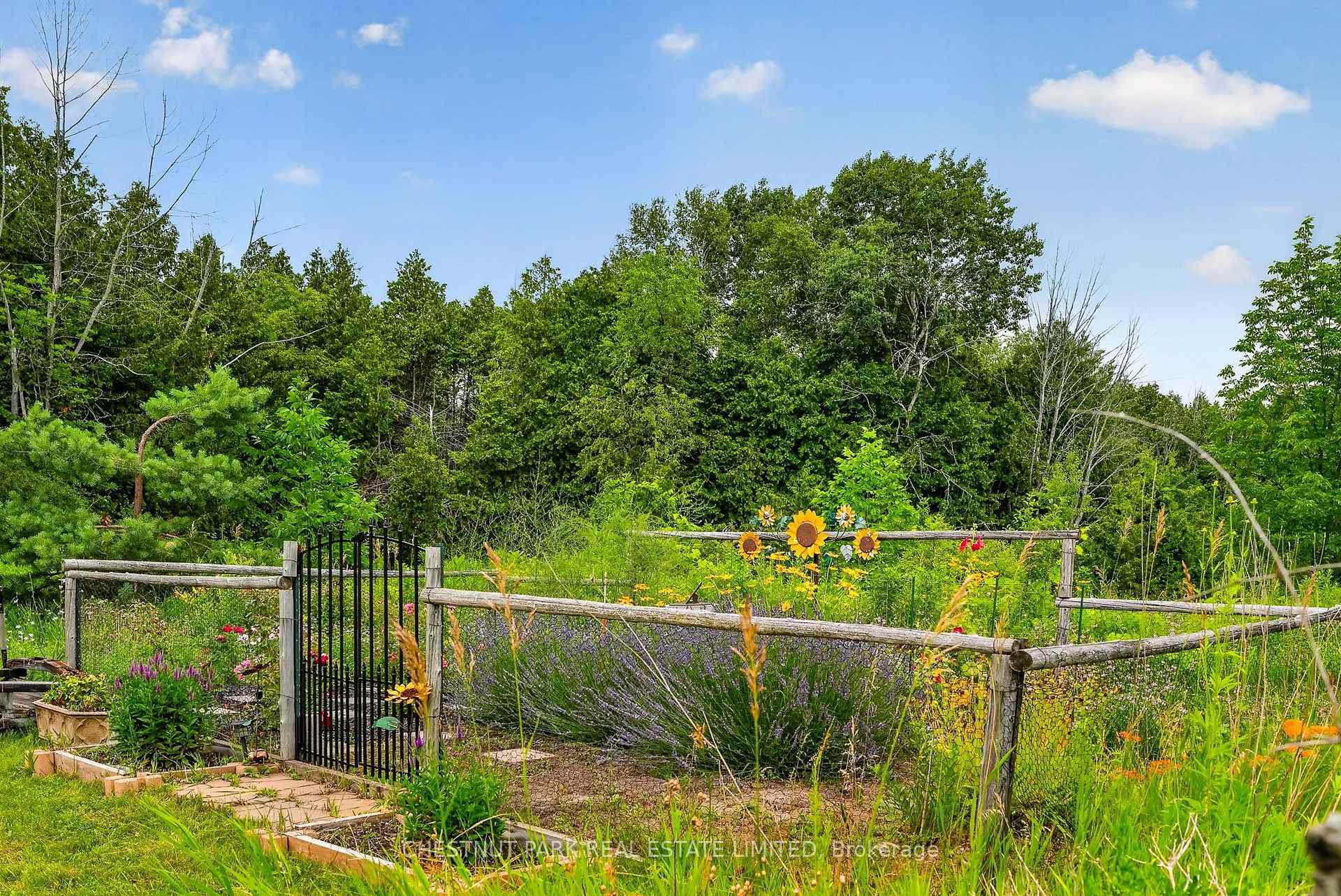 3 Bedroom Single Family Home/House's Image 39
