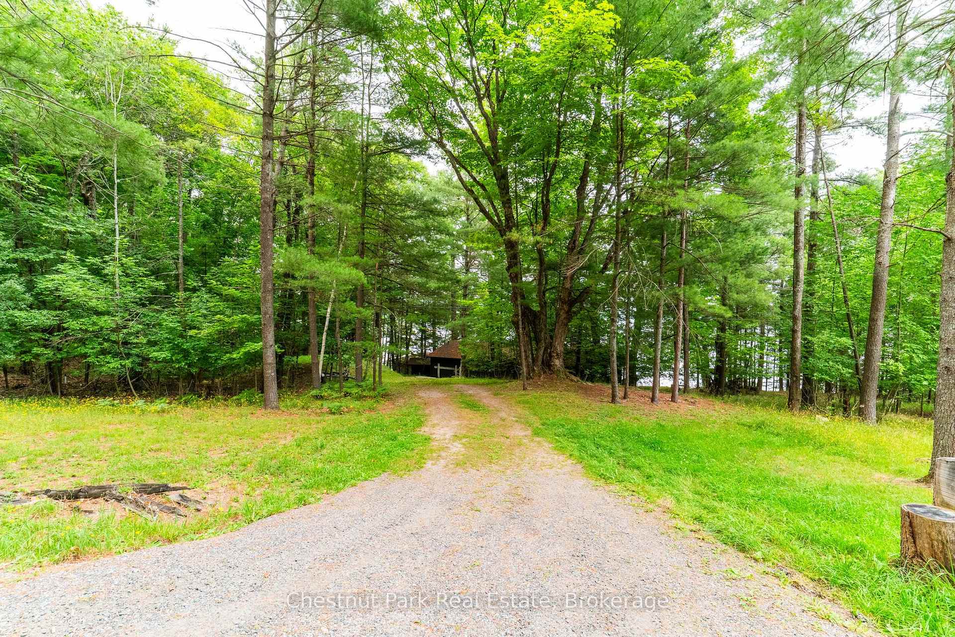 Land/Vacant Land's Image 5