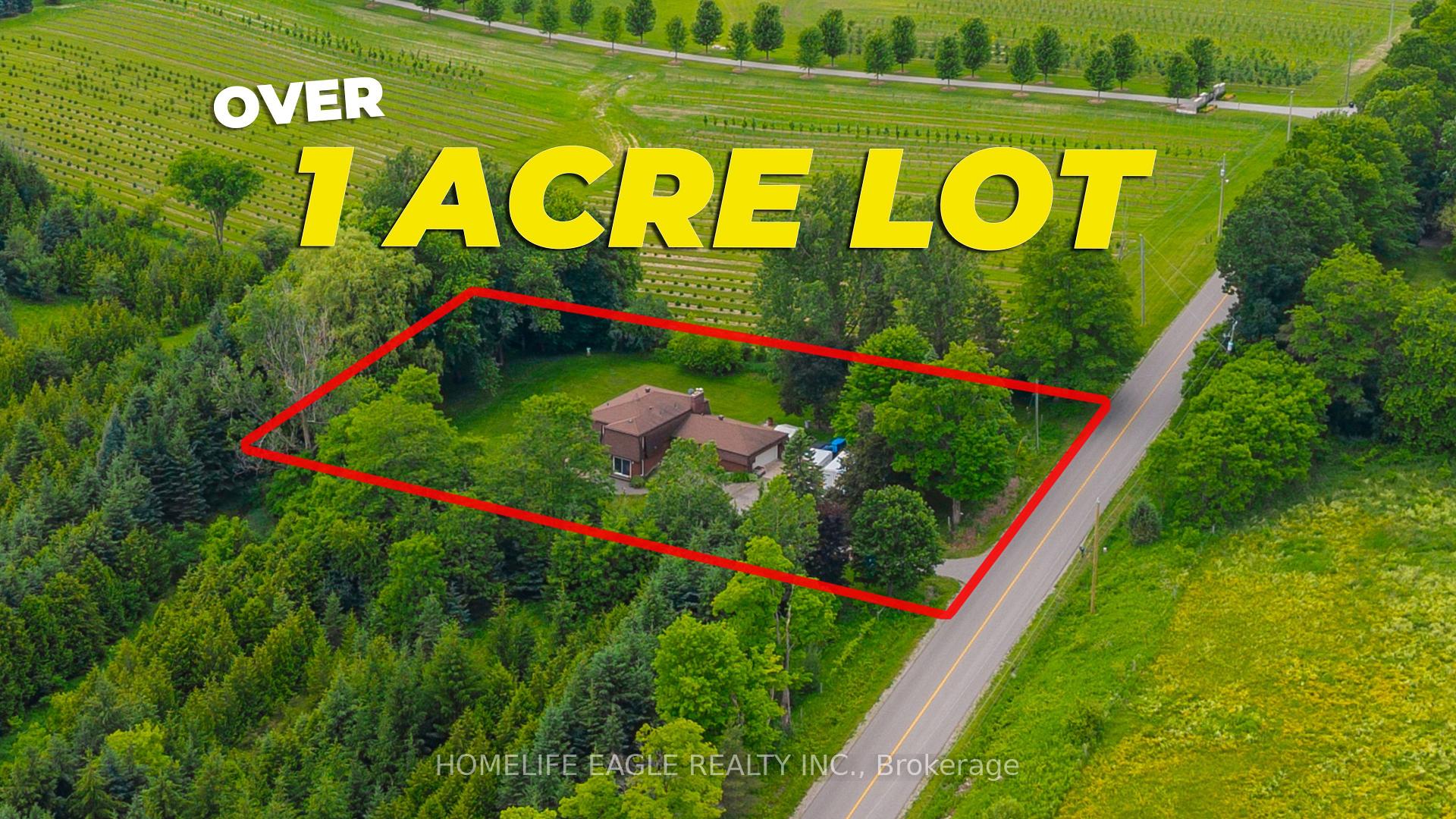 5803 3rd Line New Tecumseth Ontario Canada Sale residential   HomeLife Eagle Realty Inc, Brokerage *