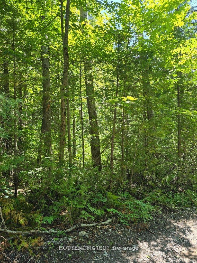 PT LT 3 Concession 8 PT 123 Trent Hills Ontario Canada Sale residential Sri Panguluri HOUSESIGMA INC., BROKERAGE*