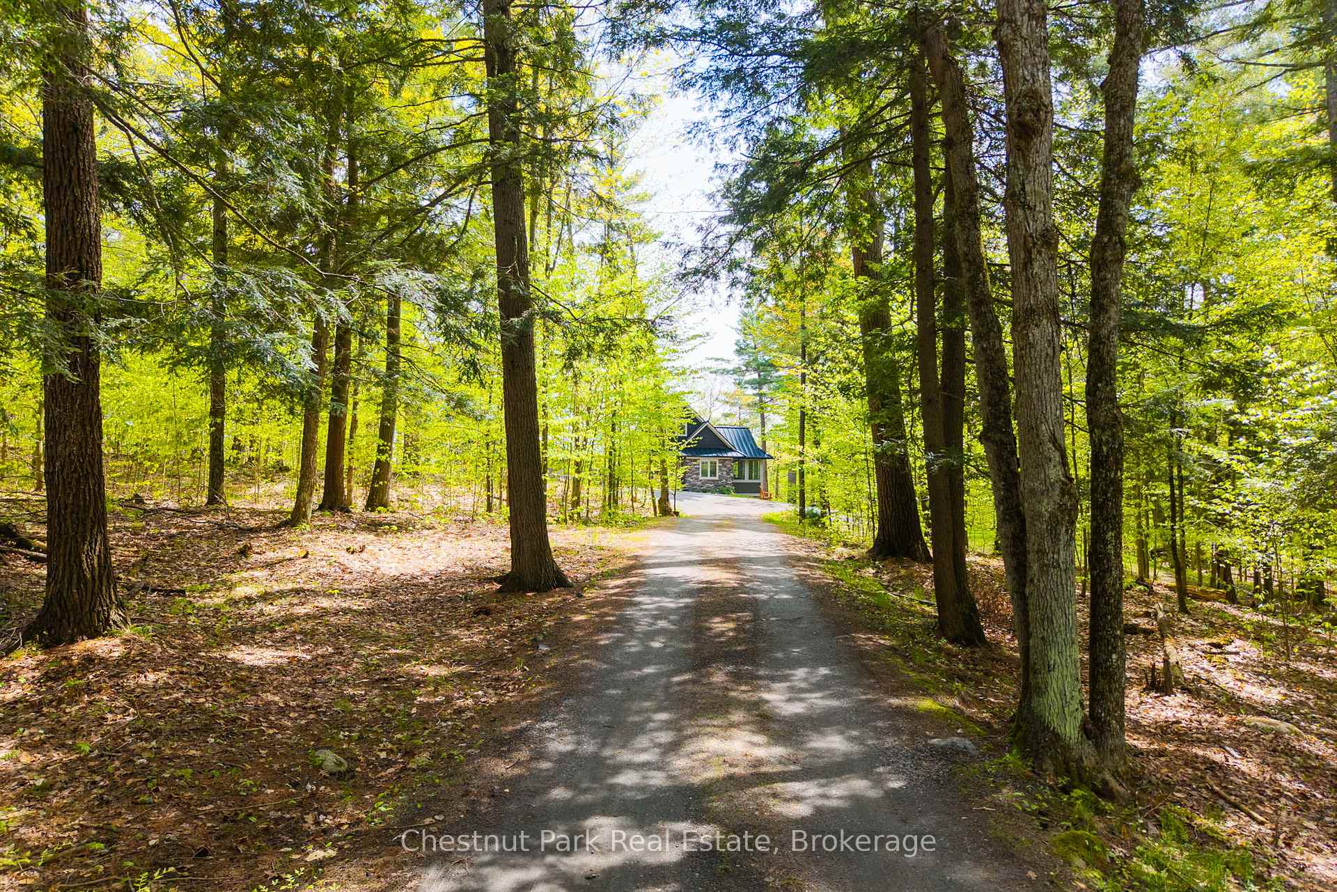 Muskoka Lakes
