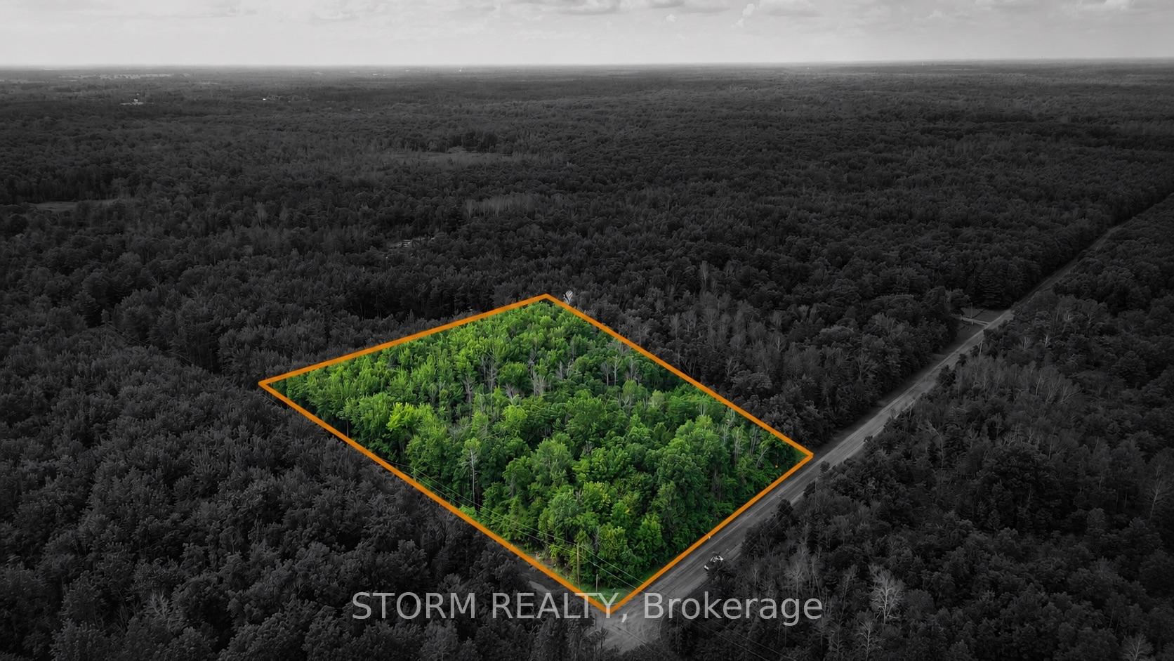 Con 8 Bingley Road South Stormont Ontario Canada Sale residential   STORM REALTY Brokerage*