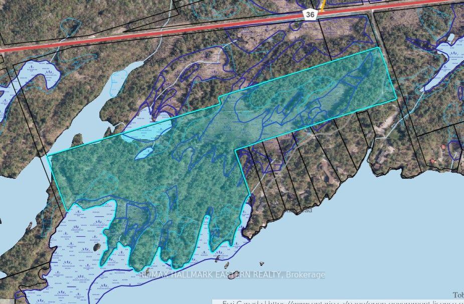 12 Fire Route 21 Trent Lakes Ontario Canada Sale residential Frank Rosso RE/MAX HALLMARK EASTERN REALTY, BROKERAGE*
