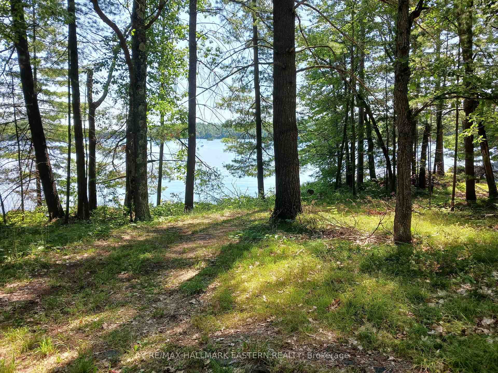 15 Fire Route 92A Kasshabog Lake Havelock-Belmont-Methuen Ontario Canada Sale residential Frank Rosso RE/MAX HALLMARK EASTERN REALTY, BROKERAGE*