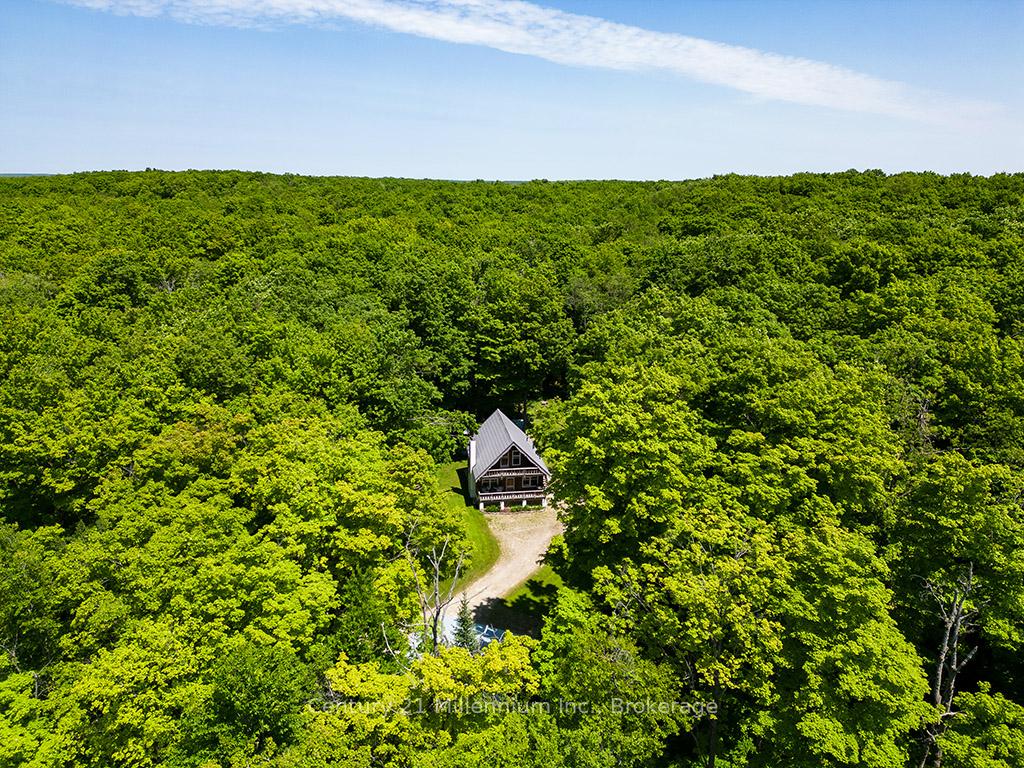 495115 Grey 2 Road Blue Mountains Ontario Canada Sale residential   The Picot Team - Chestnut Park Real Estate Brokerage