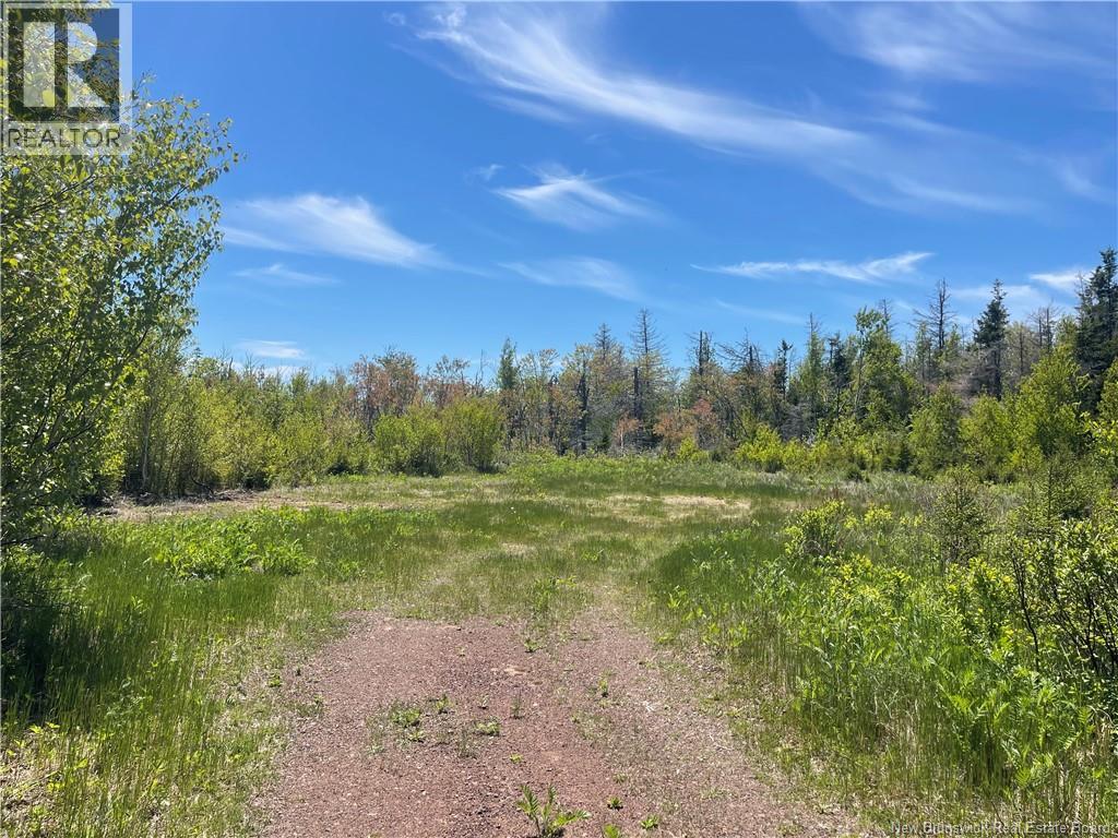Lot 95-5 P'tit Barachois Road Grand-Barachois New Brunswick Canada Sale residential Beth Locke RE/MAX AVANTE
